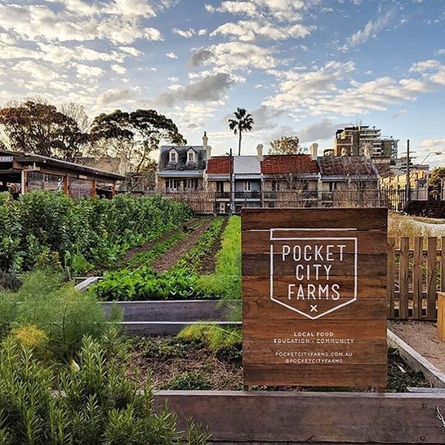 Pocket CIty Farms