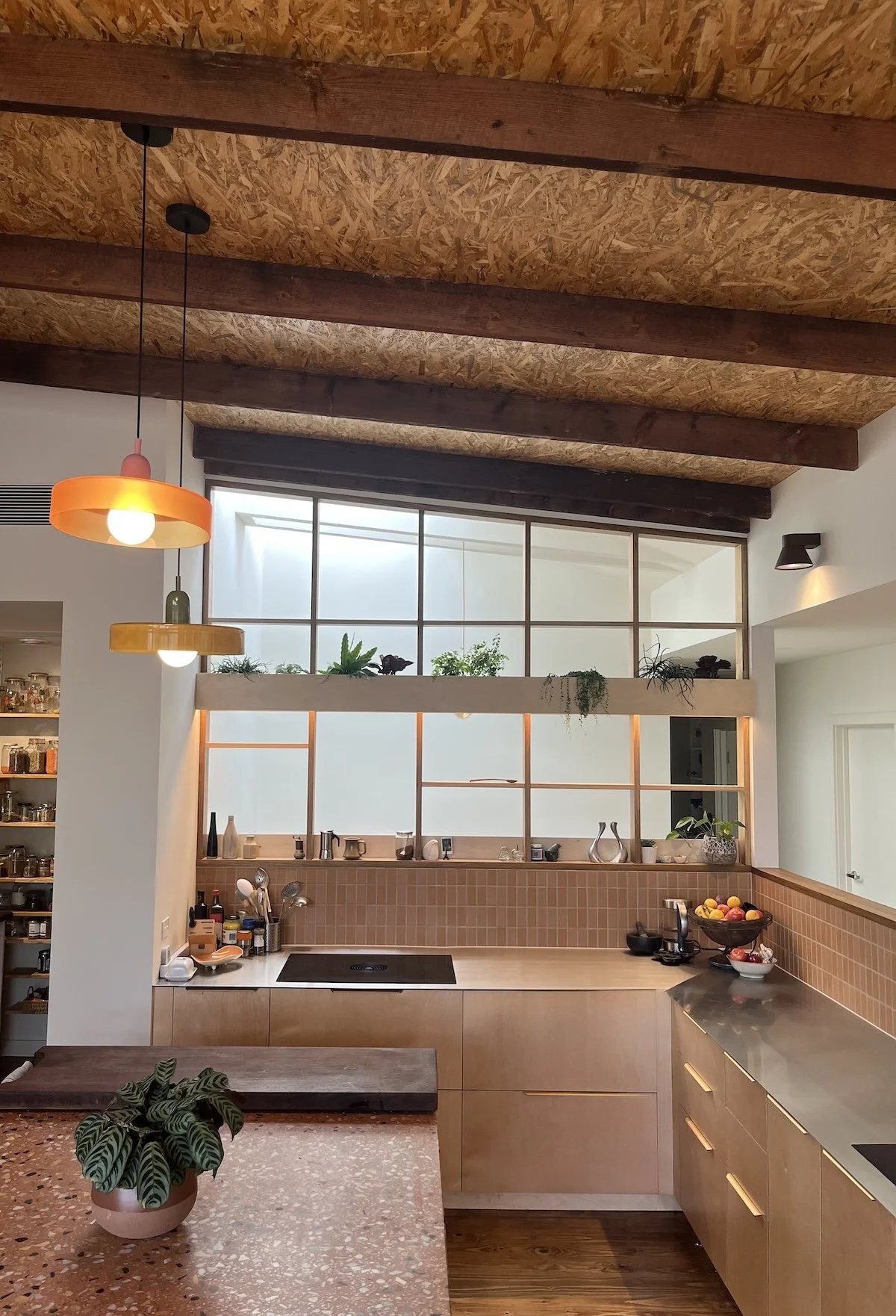 The Tree Next Door House