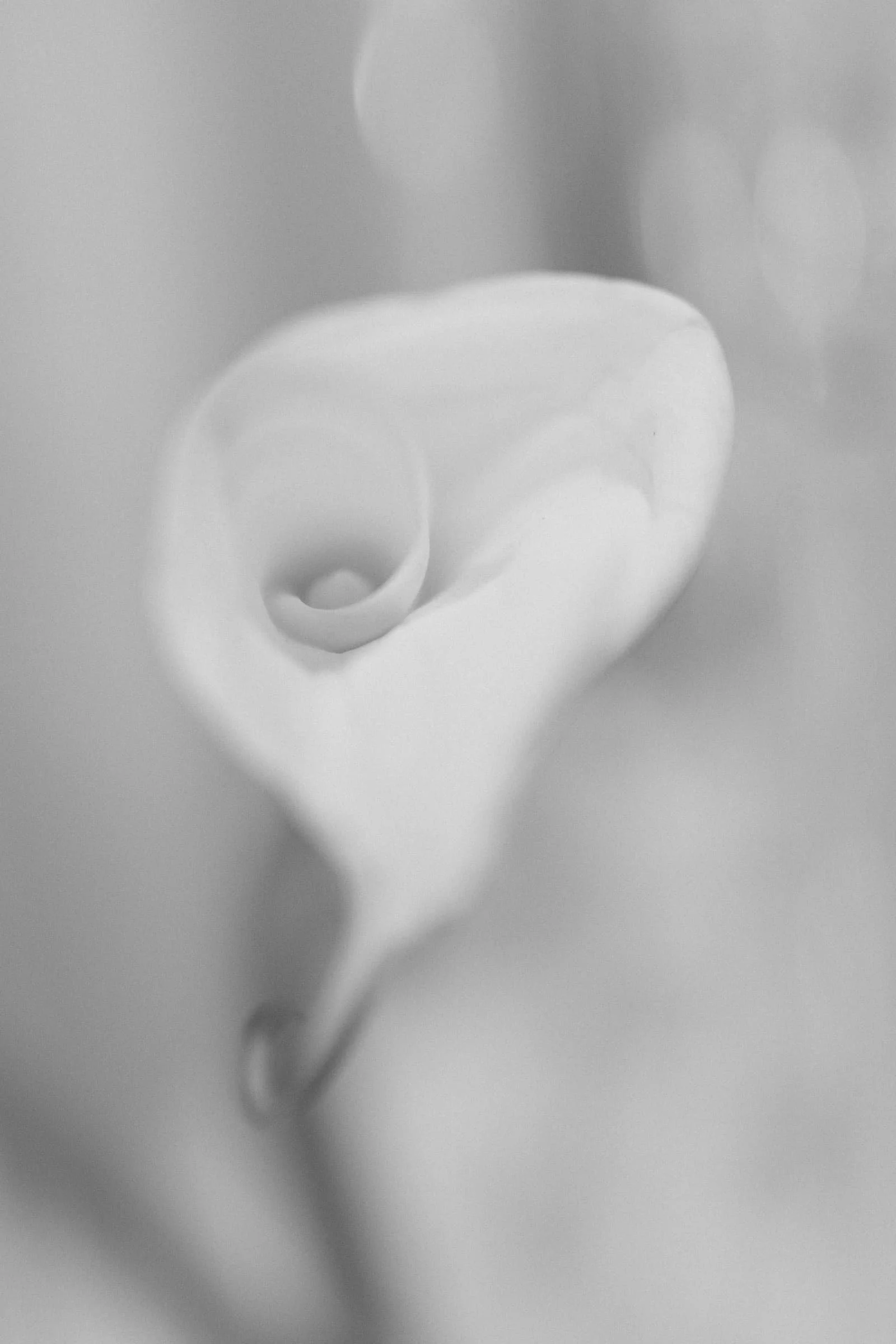 Inspiration0278.jpeg