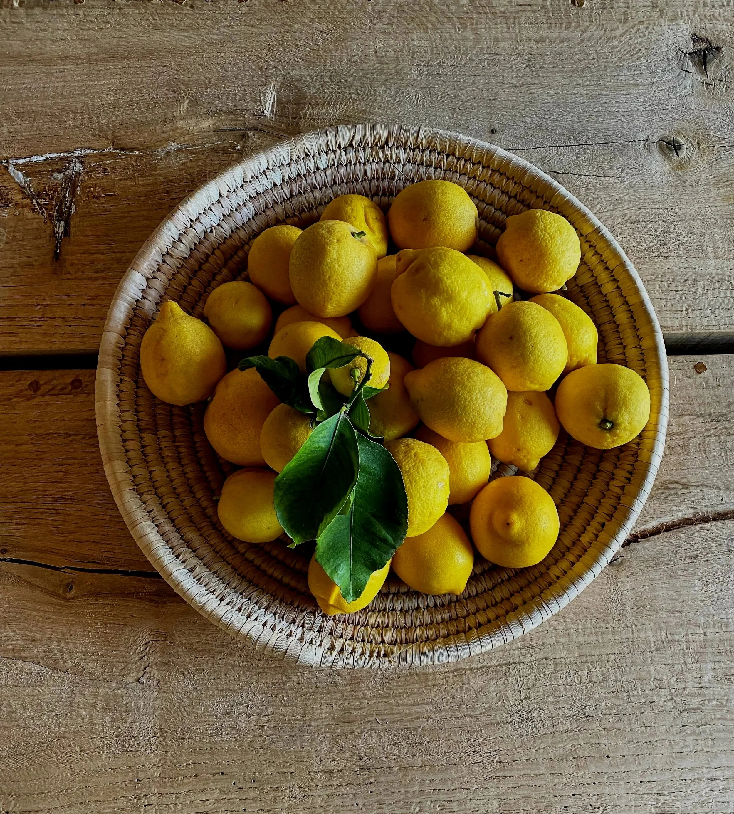 Experiences That Move You