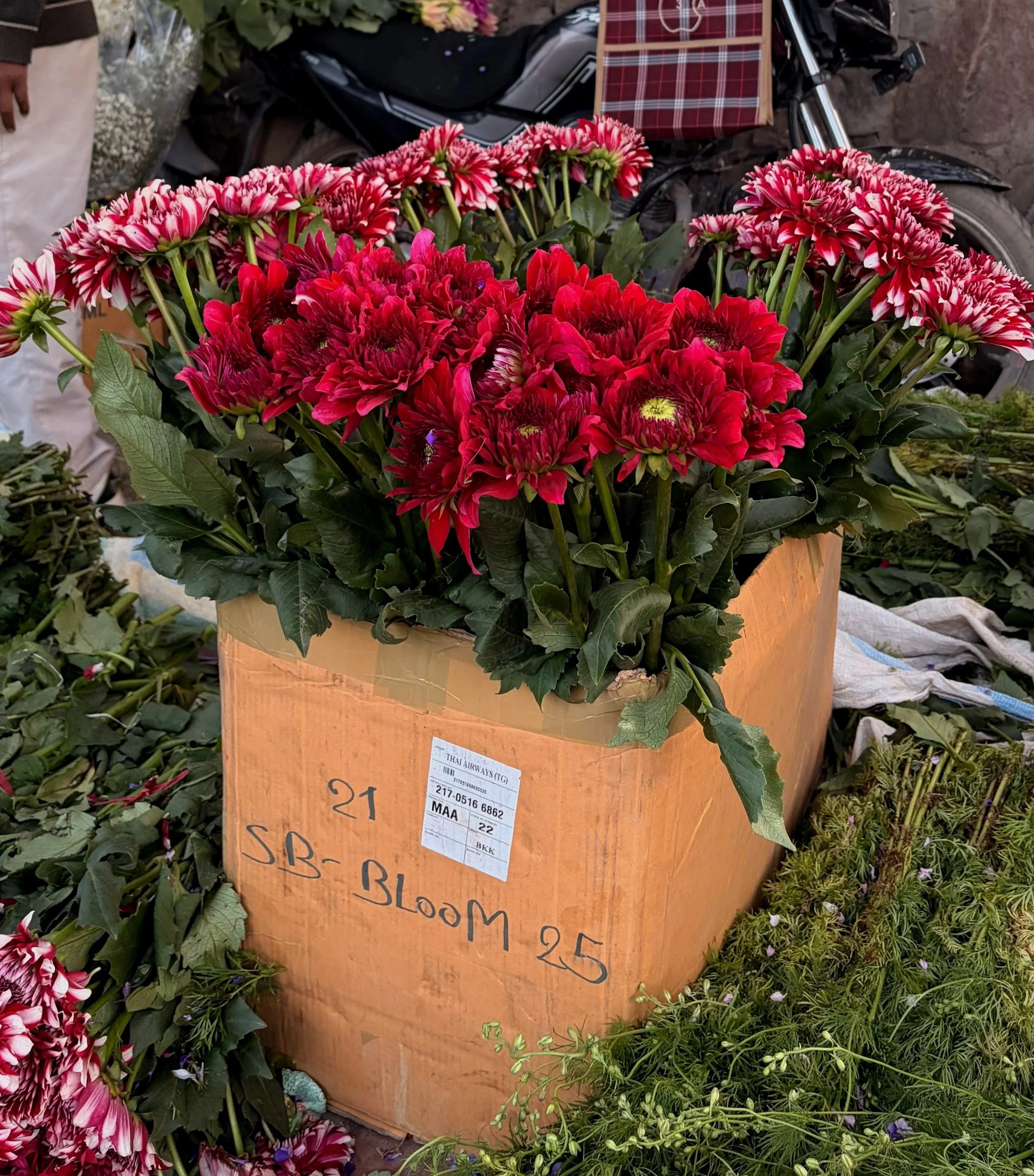 Marigold Moments in Chhatarpur Flower Market 