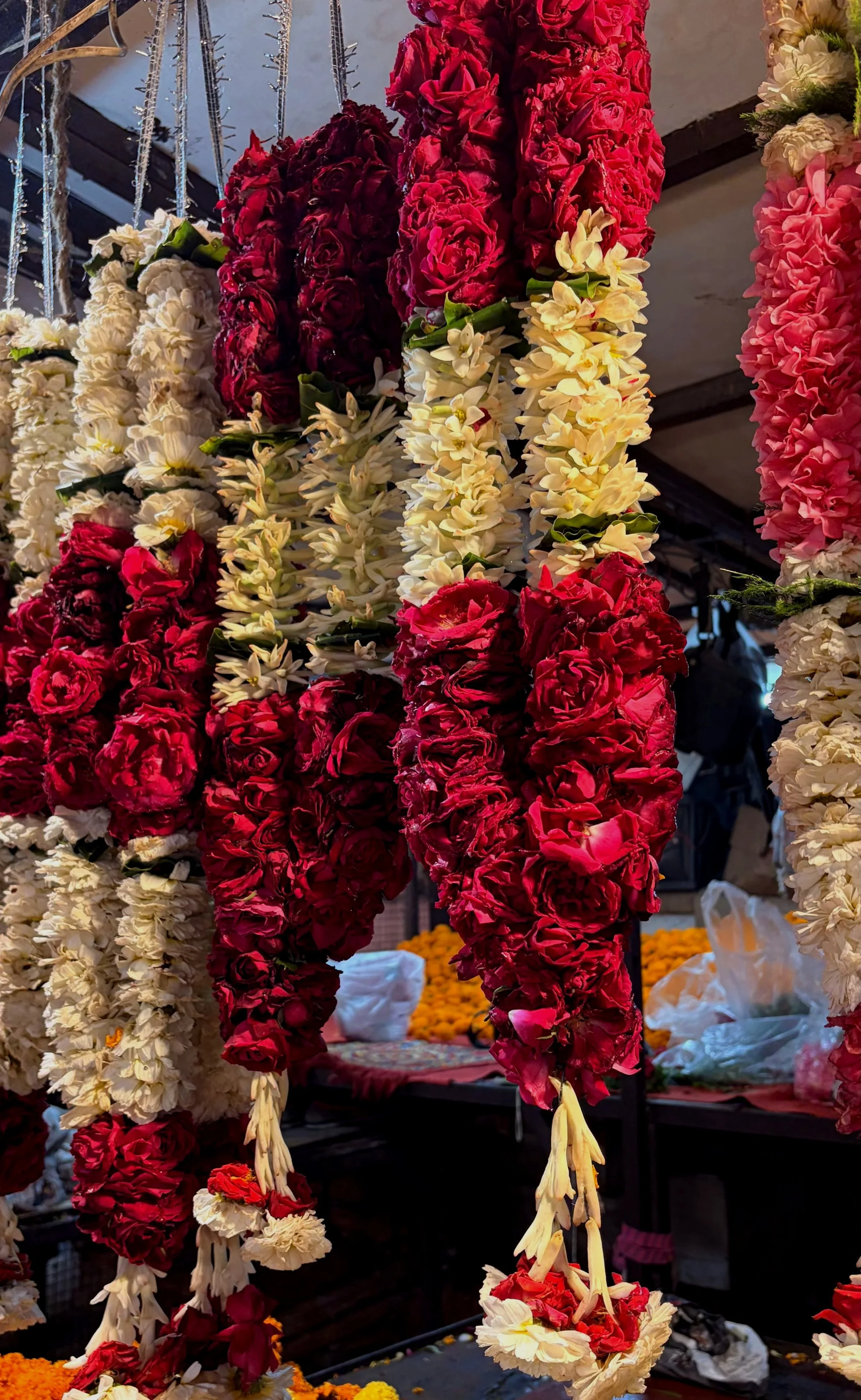marigold moments in chhatarpur flower market