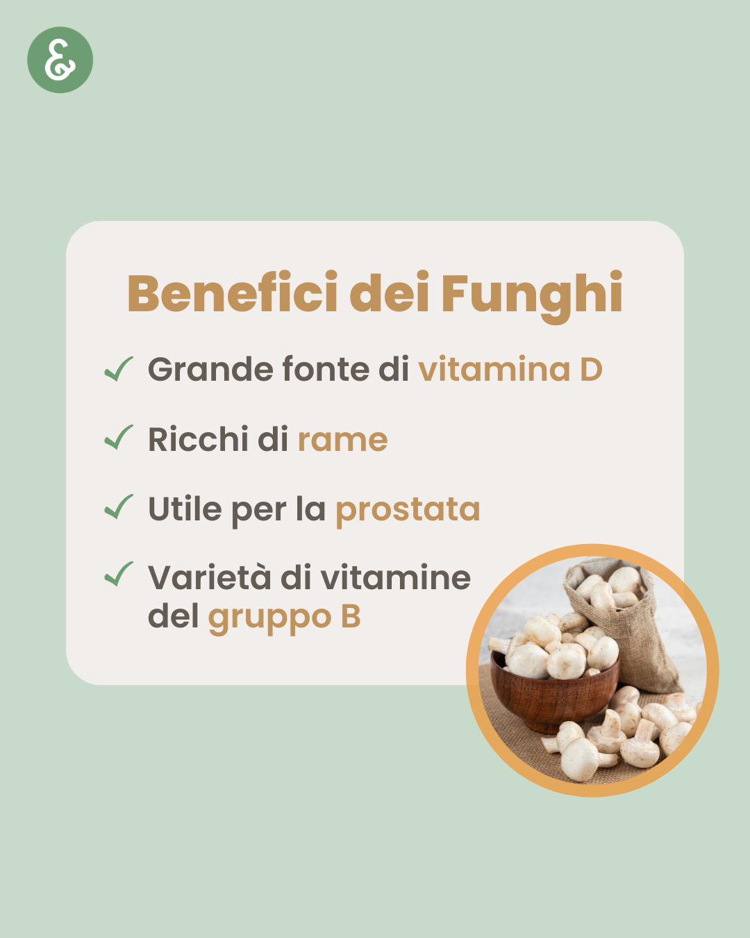 Tips INSTAGRAM (1).png