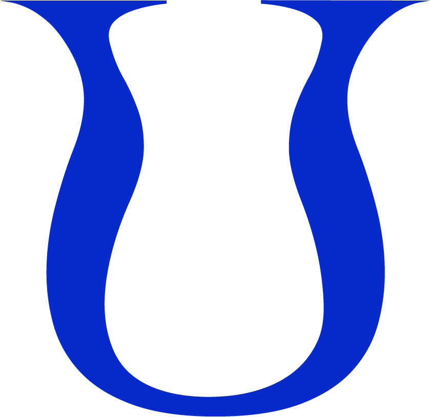 Dibujo geométrico de un cuadrado delineado, con secciones divididas por líneas verticales, horizontales y diagonales.