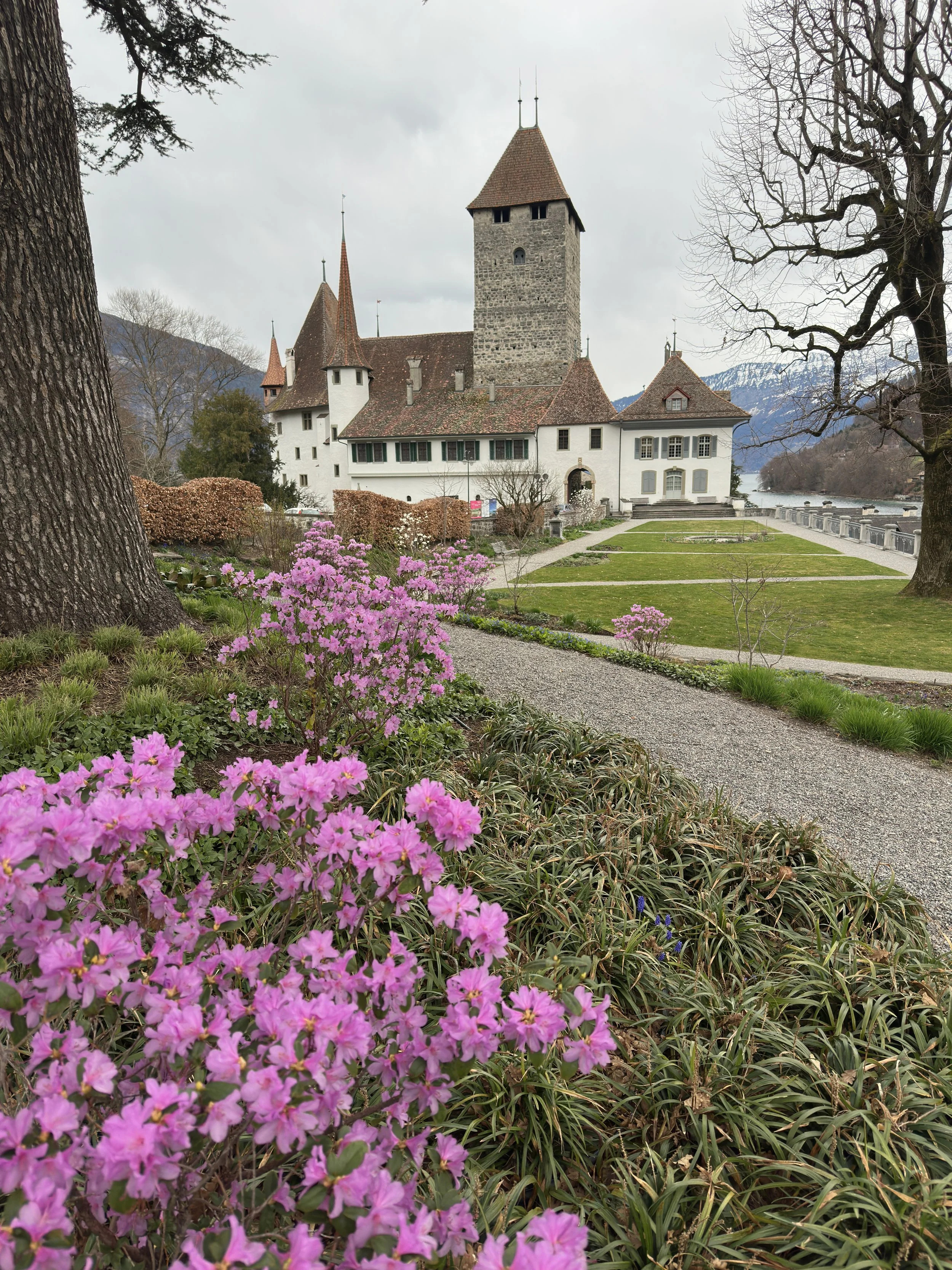 Schloss Spiez