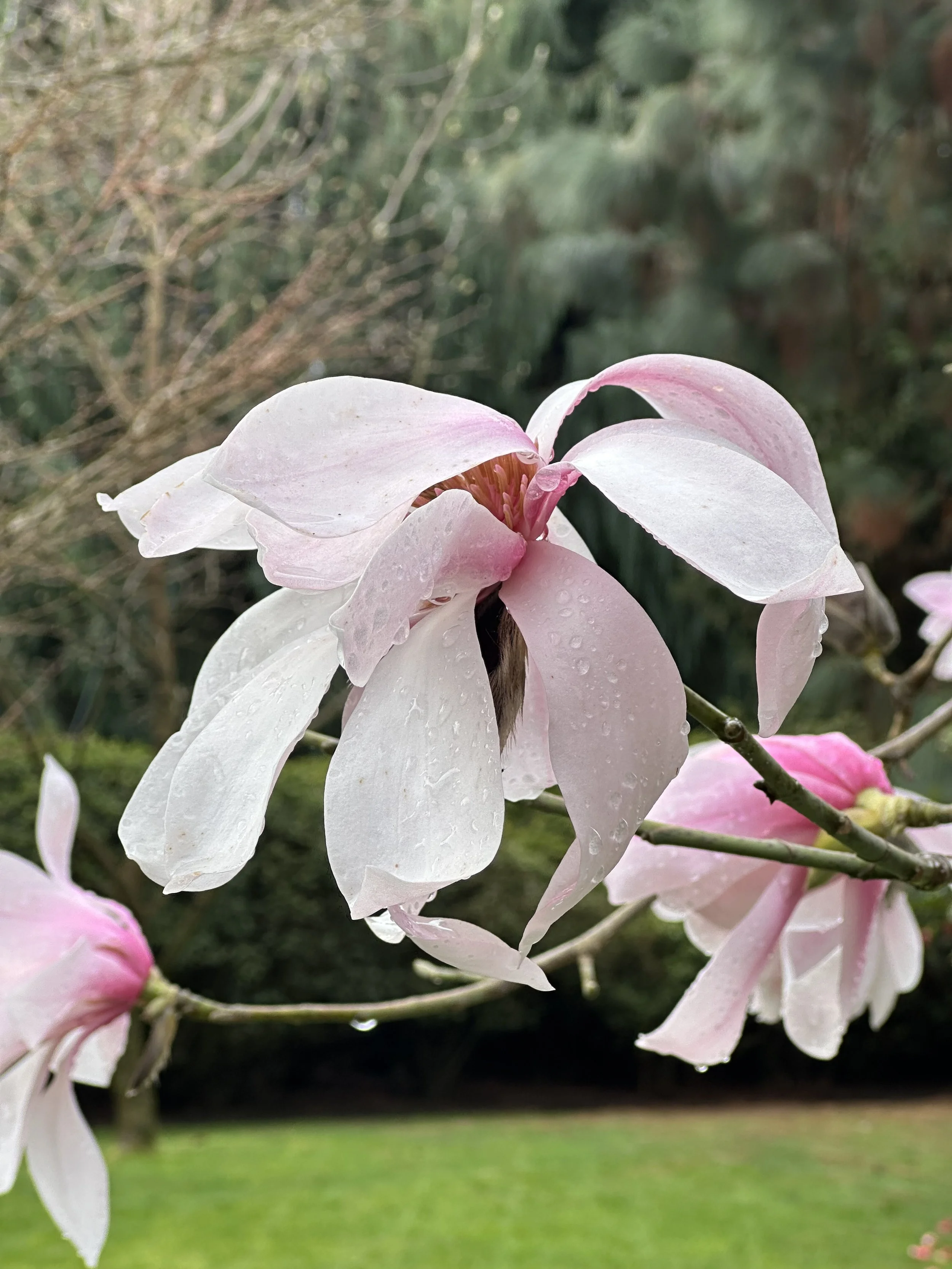 Tag 6 Sonntag 15.3.26