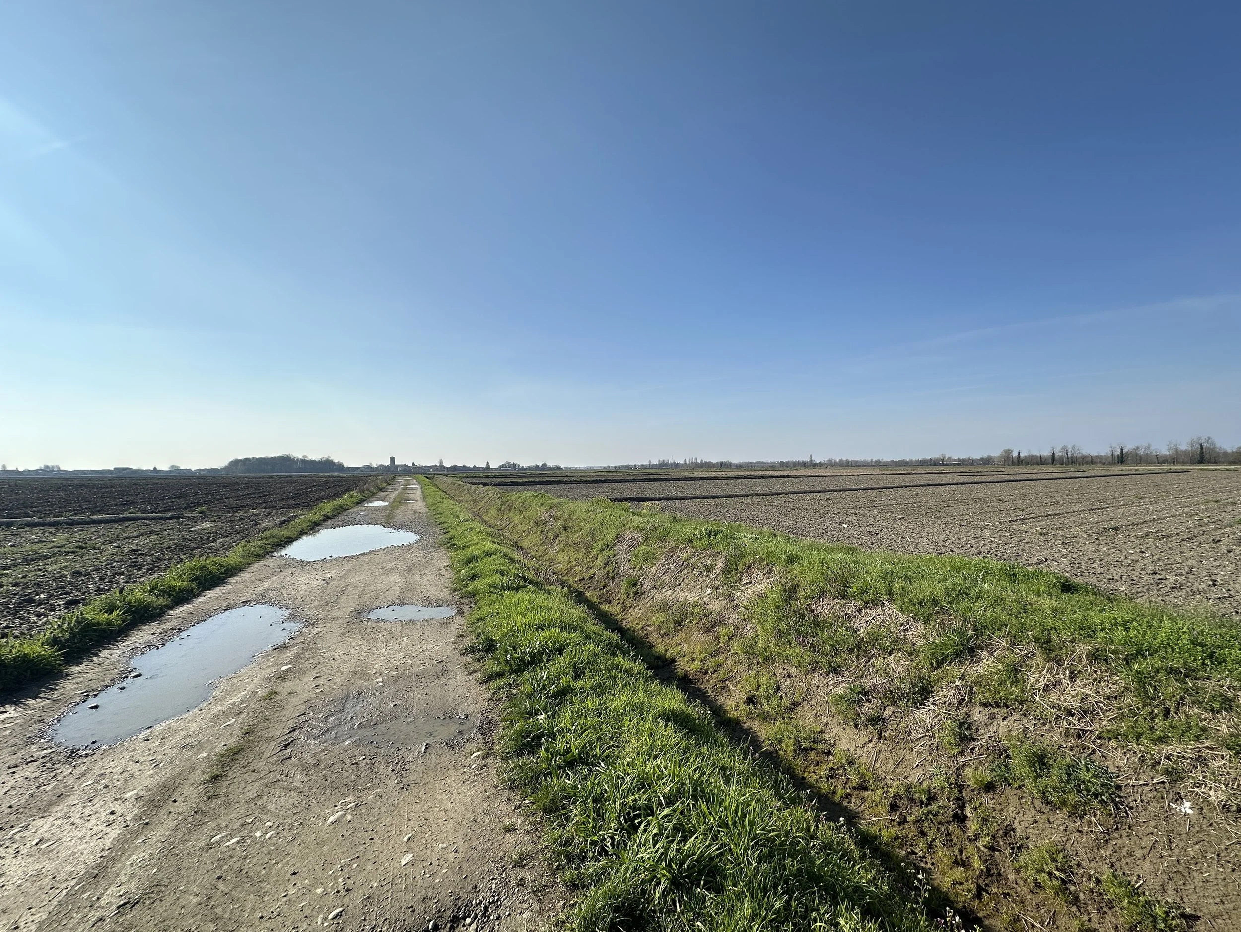 Gräben und Reisfelder