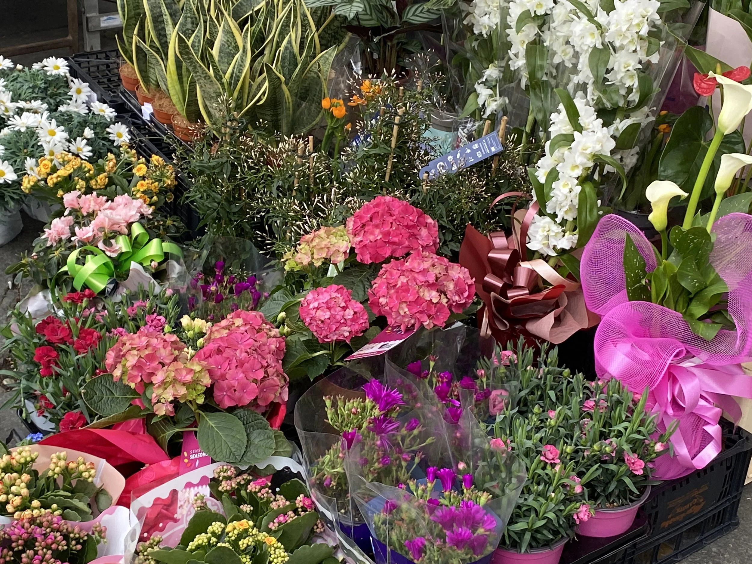 Blumen- und Gemüsemarkt