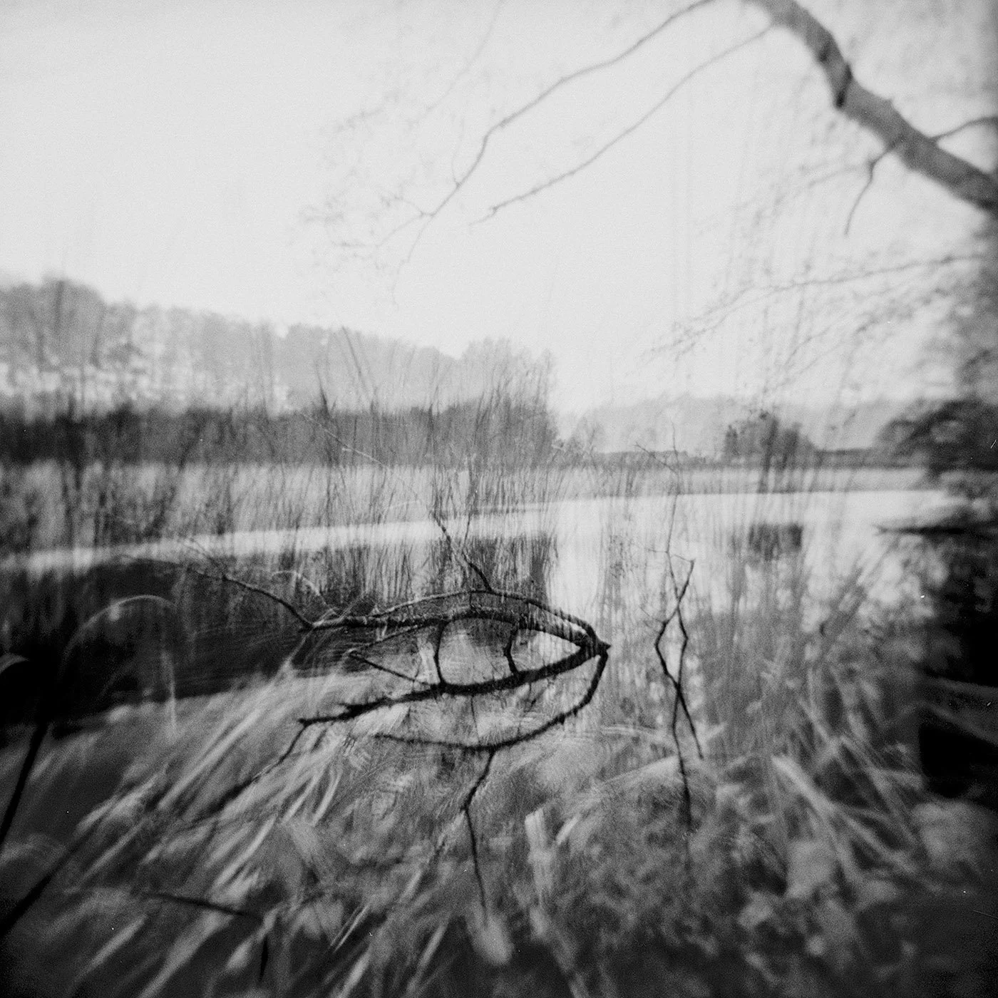 Mystic Pond, 2021 · Photography – analog (Medium Format Film, Double Exposure)