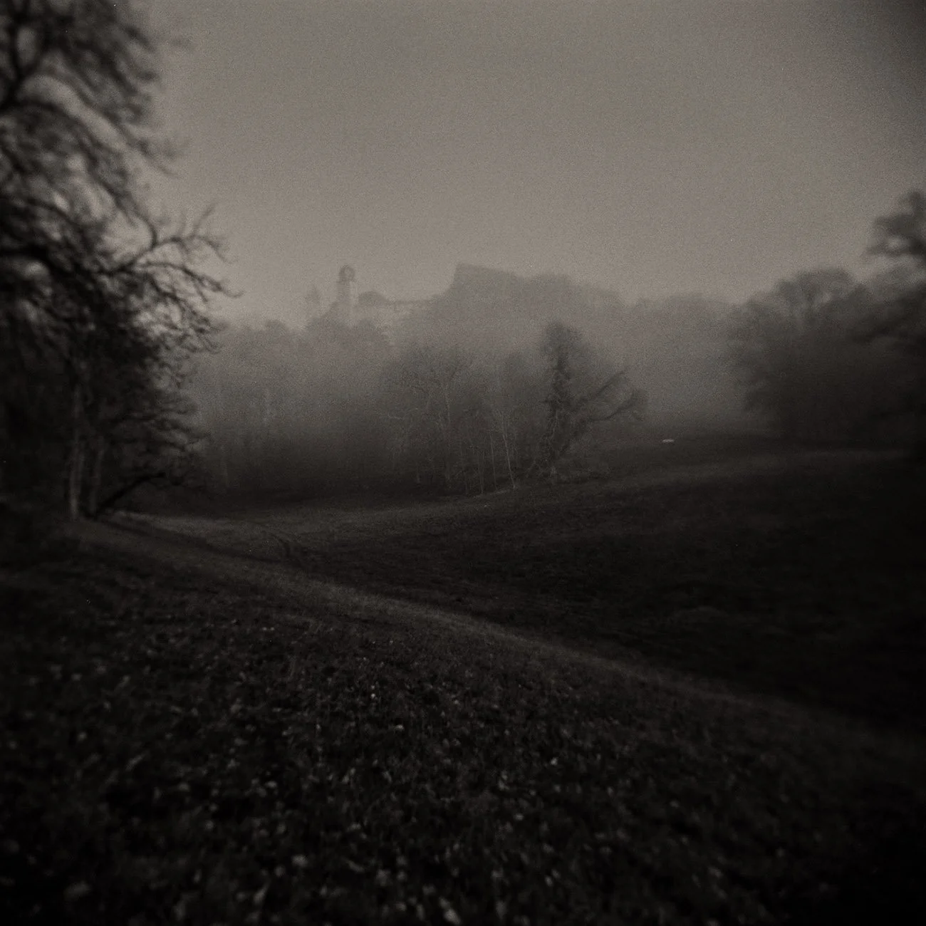 Autumn Day in the Park, 2020 · Photography – analog (Medium Format Film)