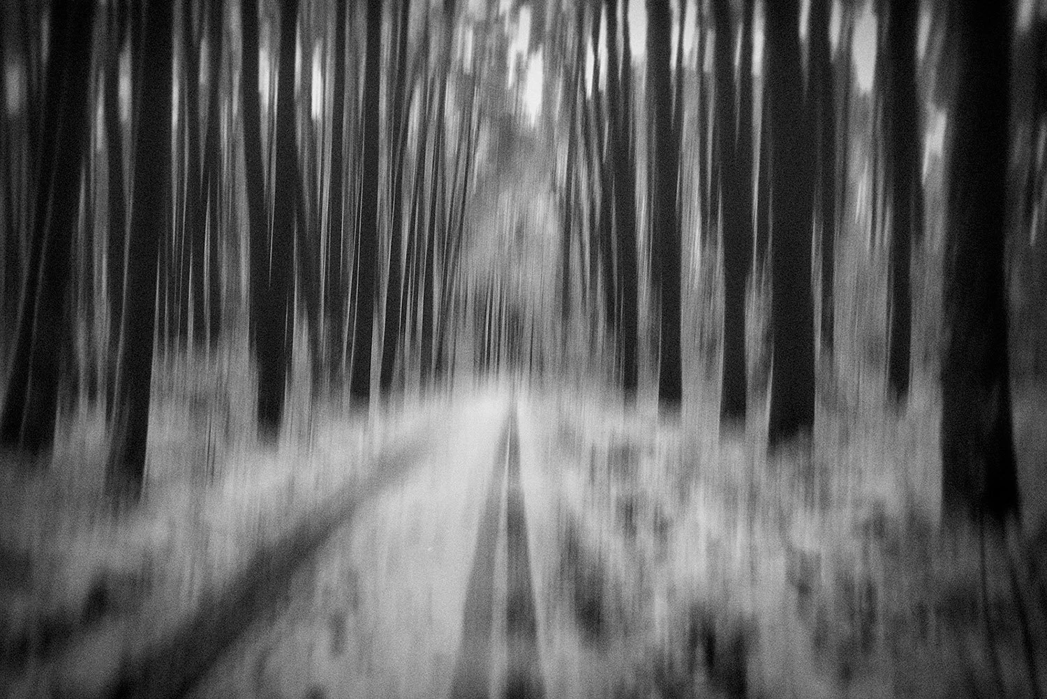 Tracks in the Snow, 2021 · Photography – digital (Intentional Camera Movement) 