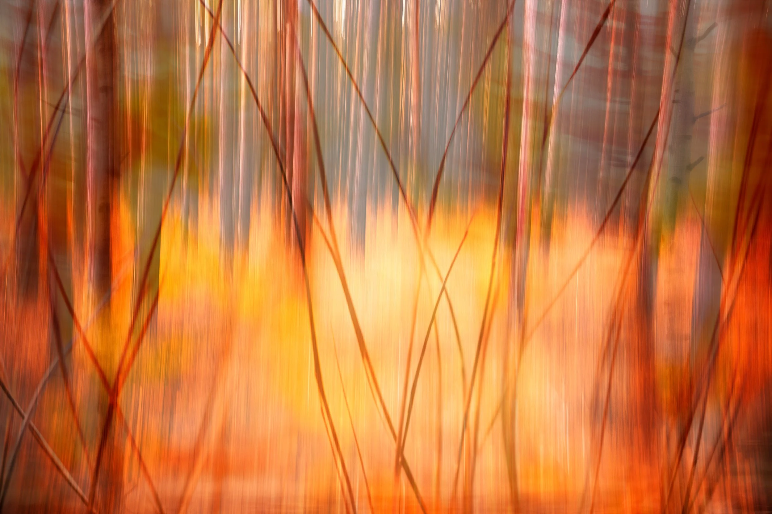 Colors of Autumn, 2023 · Photography // AI Art – digital