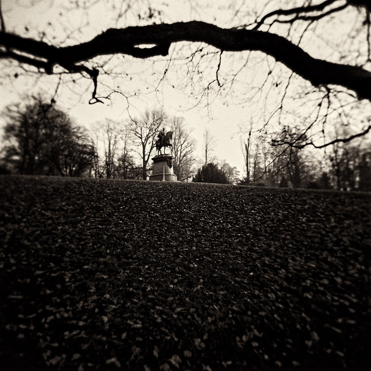 Autumn Day in the Park, 2020 · Photography – analog (Medium Format Film)