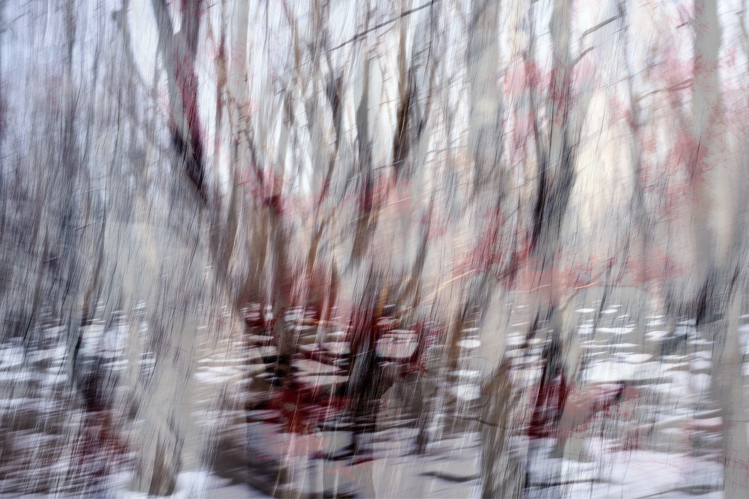 Deciduous Trees in Winter, 2023 · Photography // AI Art – digital