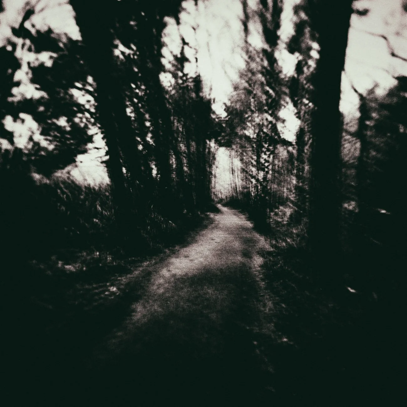 The Track, 2021 · Photography – analog (Medium Format Film, Double Exposure)