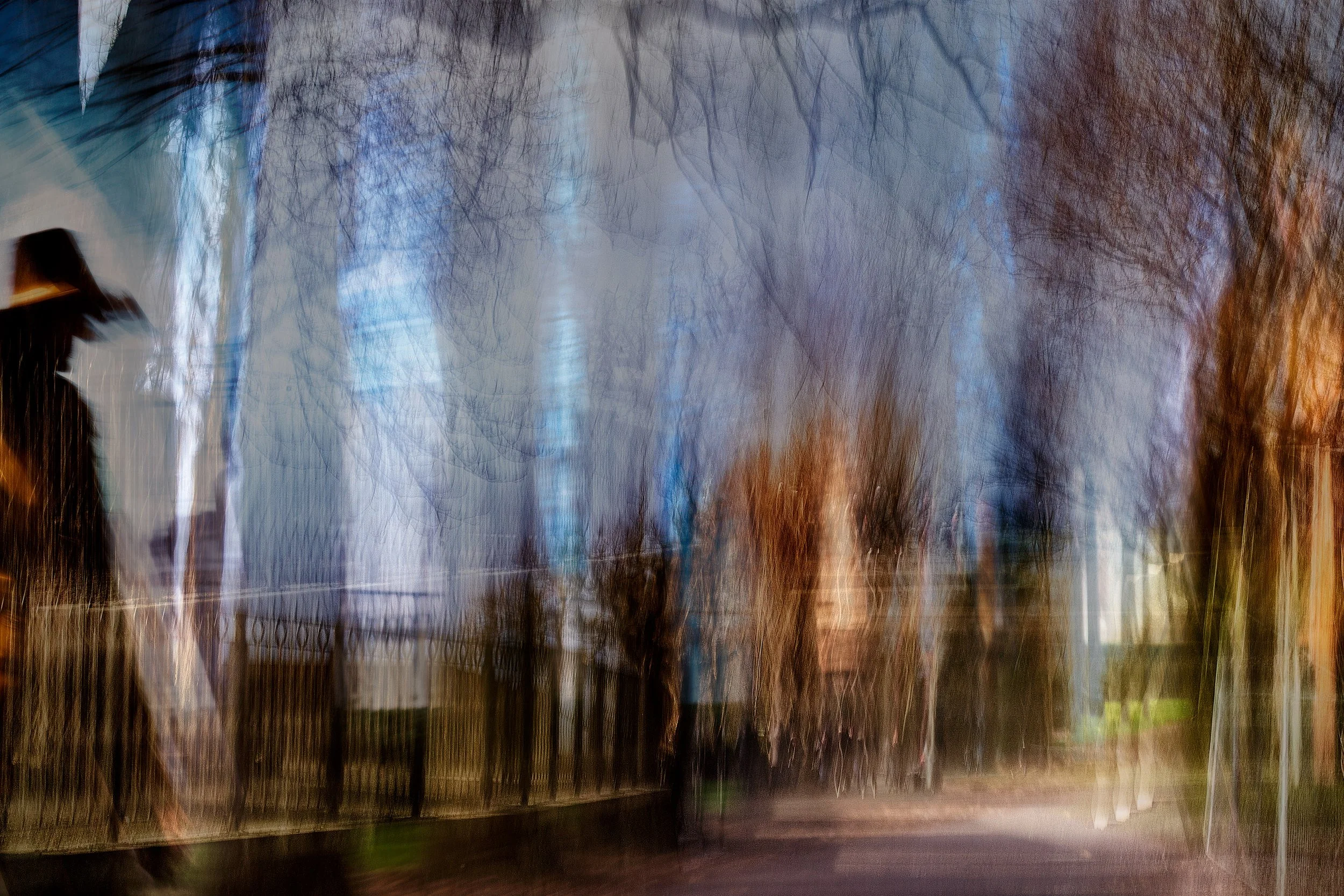 Deciduous Trees in a Park in Winter 2023 · Photography // AI Art – digital
