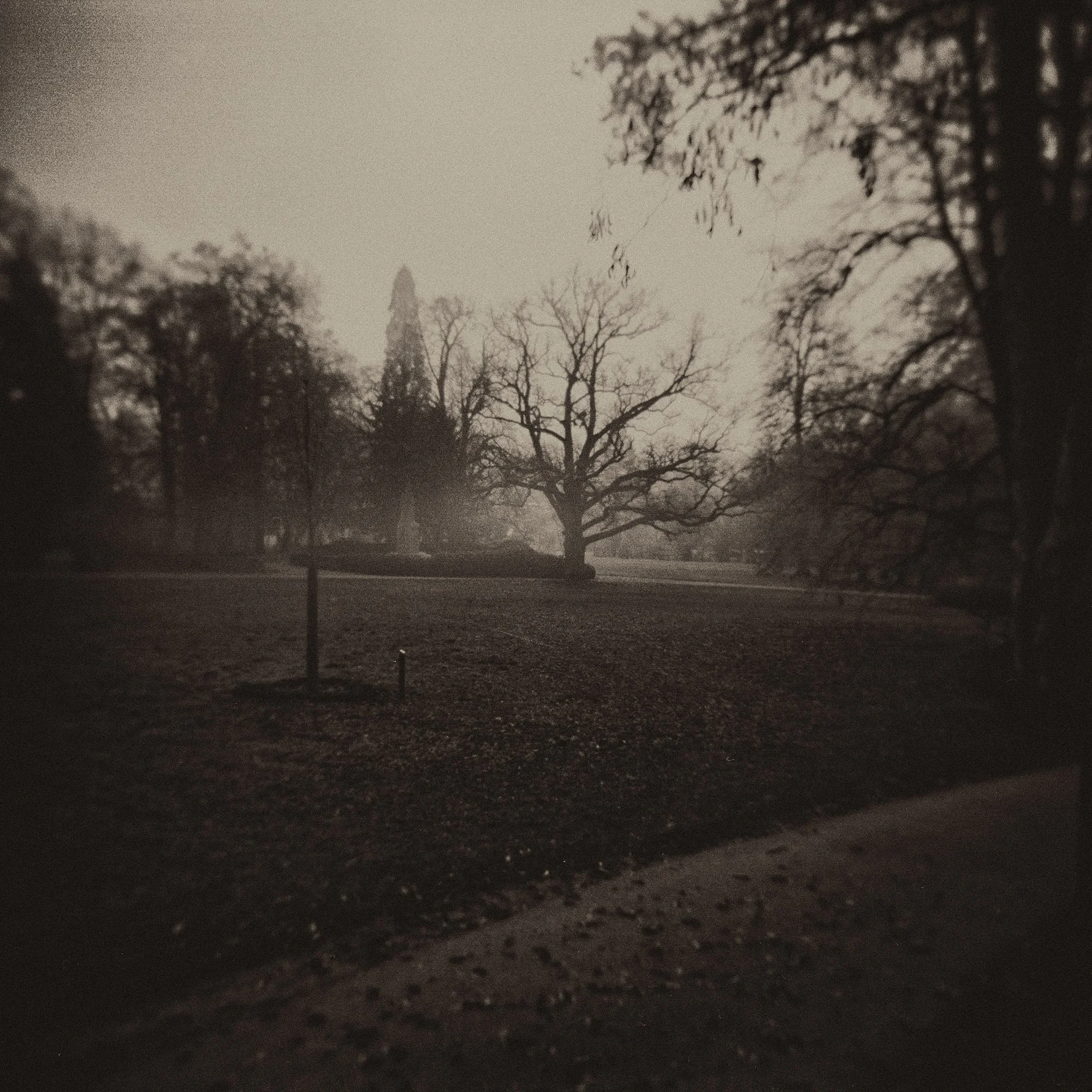 Autumn Day in the Park, 2020 · Photography – analog (Medium Format Film)