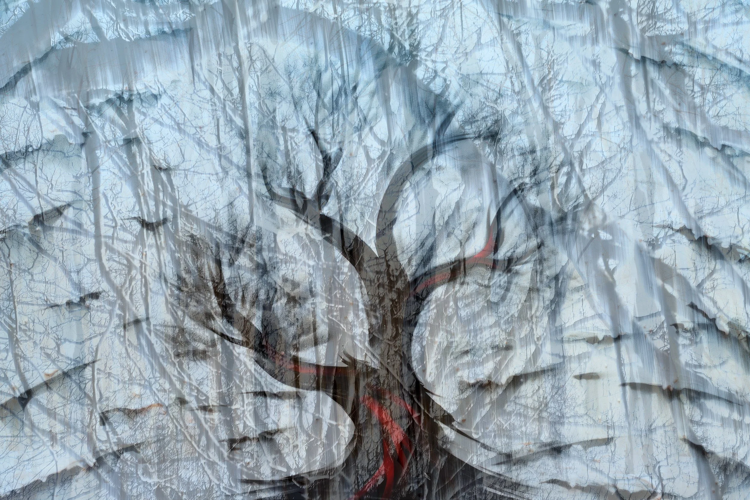 Deciduous Trees in Winter, 2023 · Photography // AI Art – digital