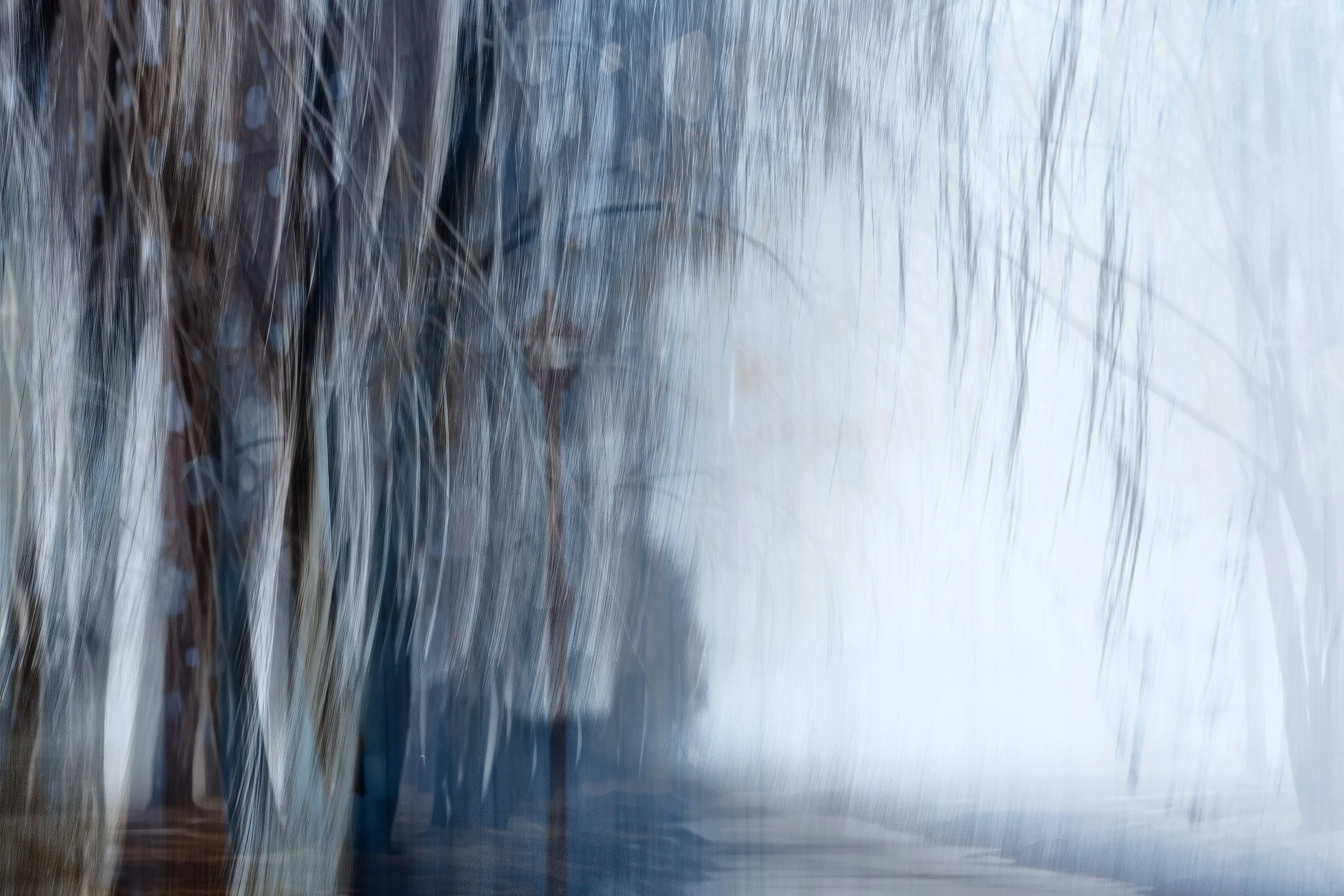 Deciduous Trees in Winter, 2023 · Photography // AI Art – digital