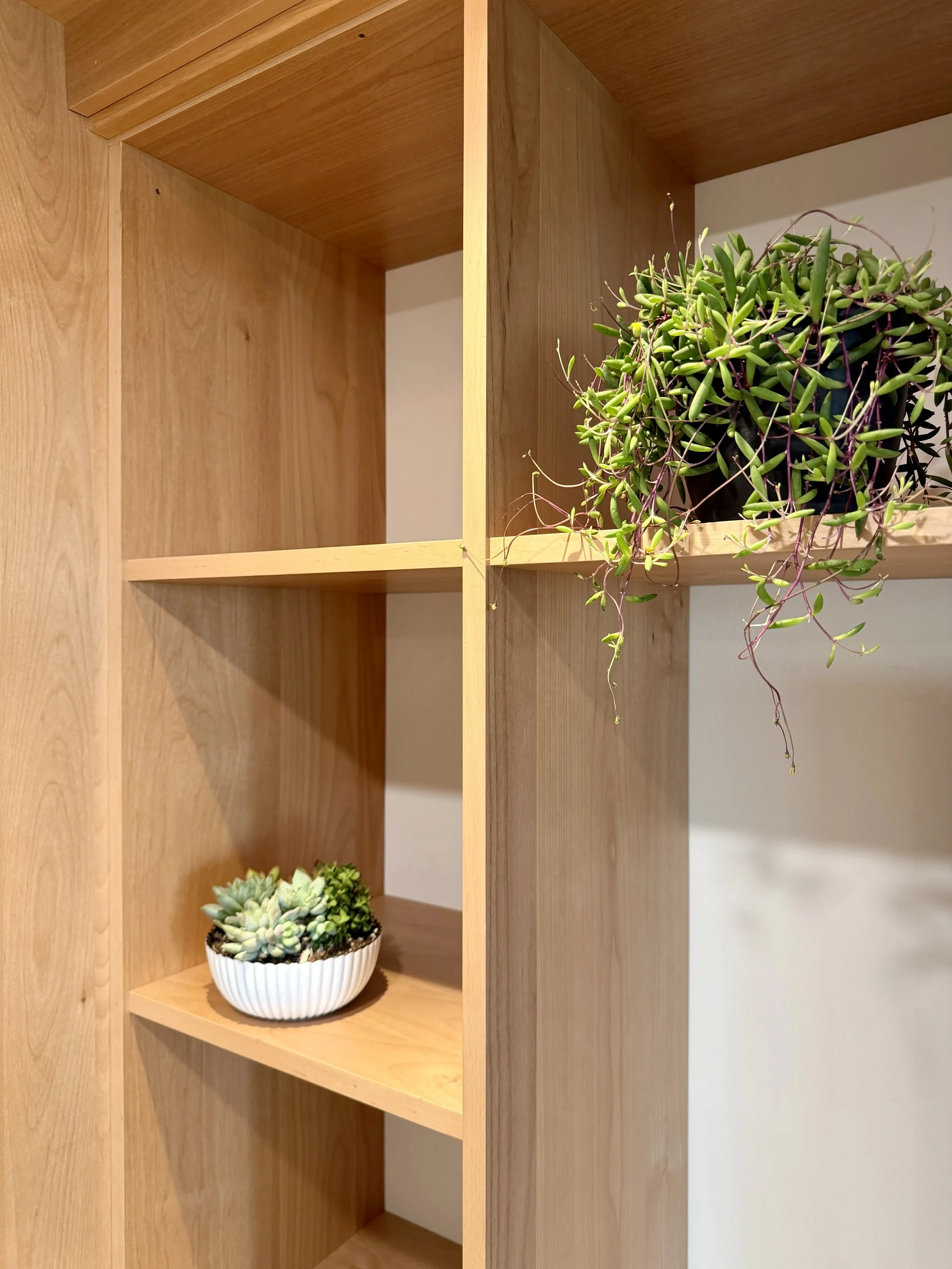 Architectural Details of 3/4" Alder Plywood Built-In Shelving Unit Constructed Using Lamello Divario Fasteners with Painted Backing Wall and 2" Recessed Lighting Fixtures Painted to Match 

Scandinavian Inspired Remodeling Project Completed in Northv