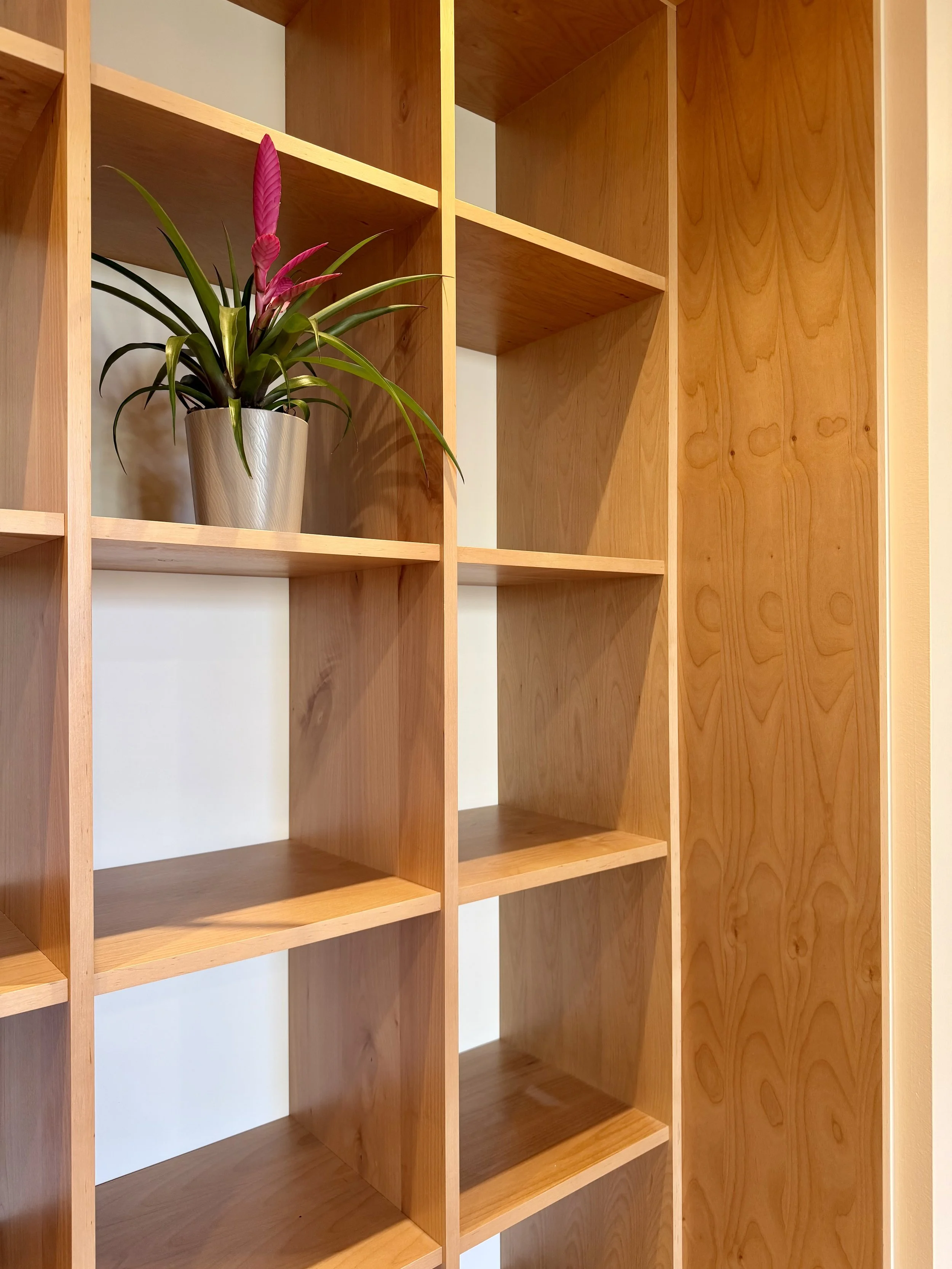 Architectural Details in 3/4" Alder Plywood Using Lamello Divario Connections with Painted Backing Wall 

Scandinavian Inspired Remodeling Project Completed in Northville MI. 