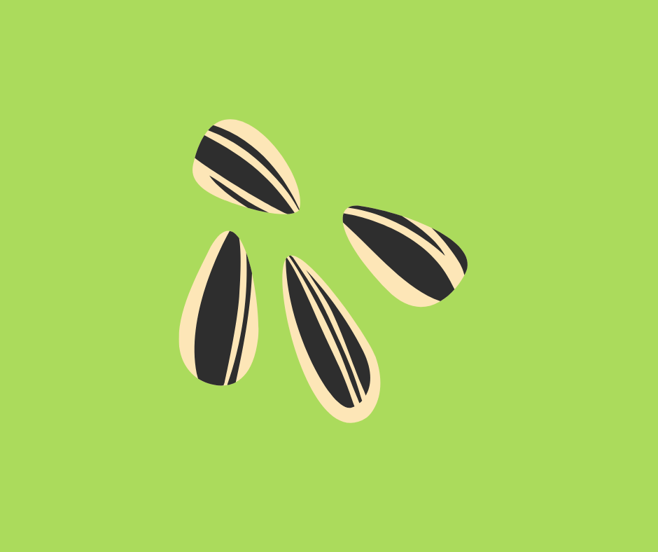 dieta vegana per sportivi