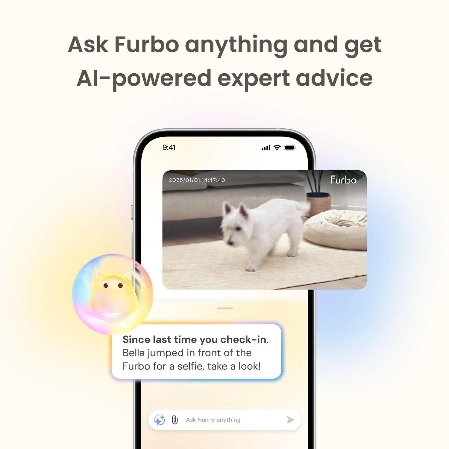 Furbo 7.jpg