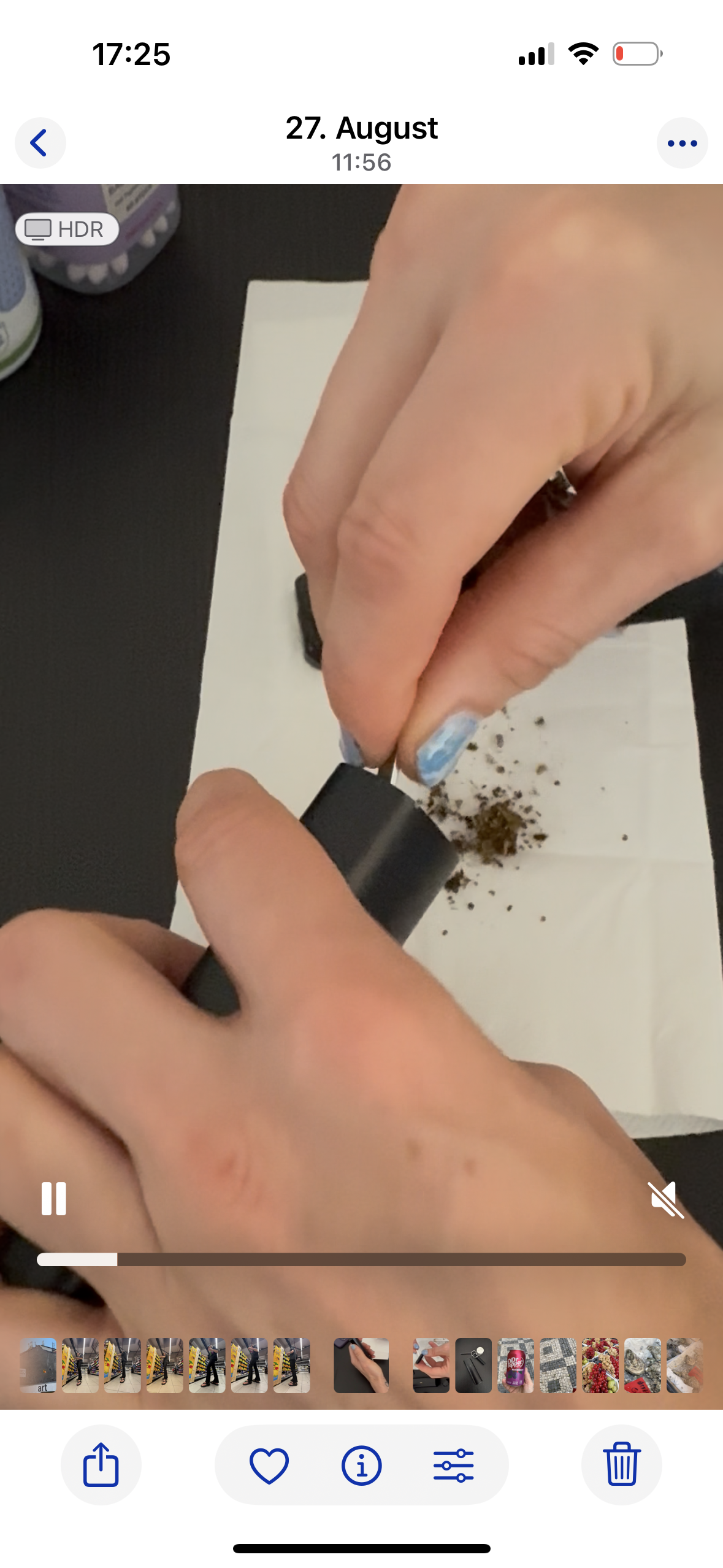 Reinigung des PAX Plus