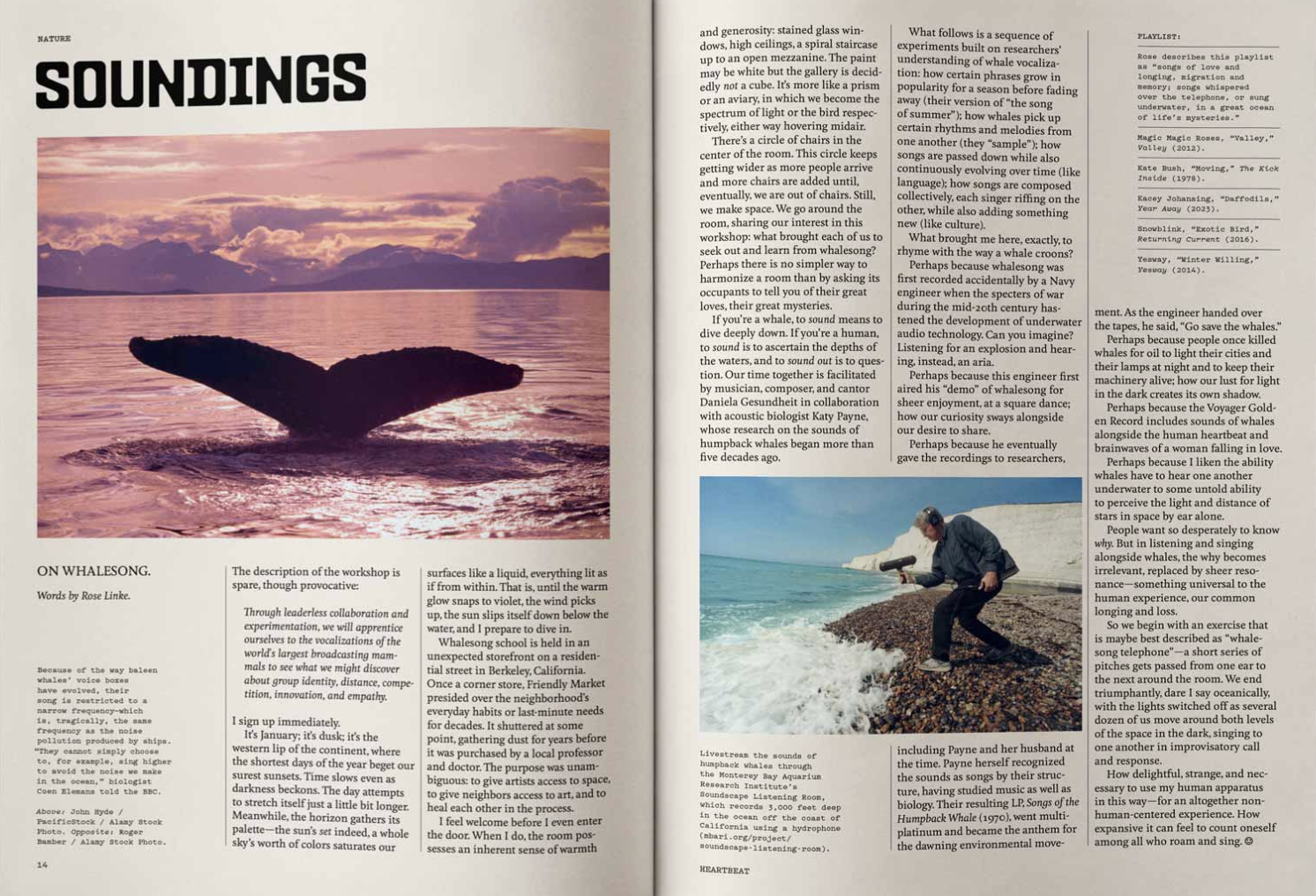 Bildschirmfoto 2026-01-27 um 14.50.50.png