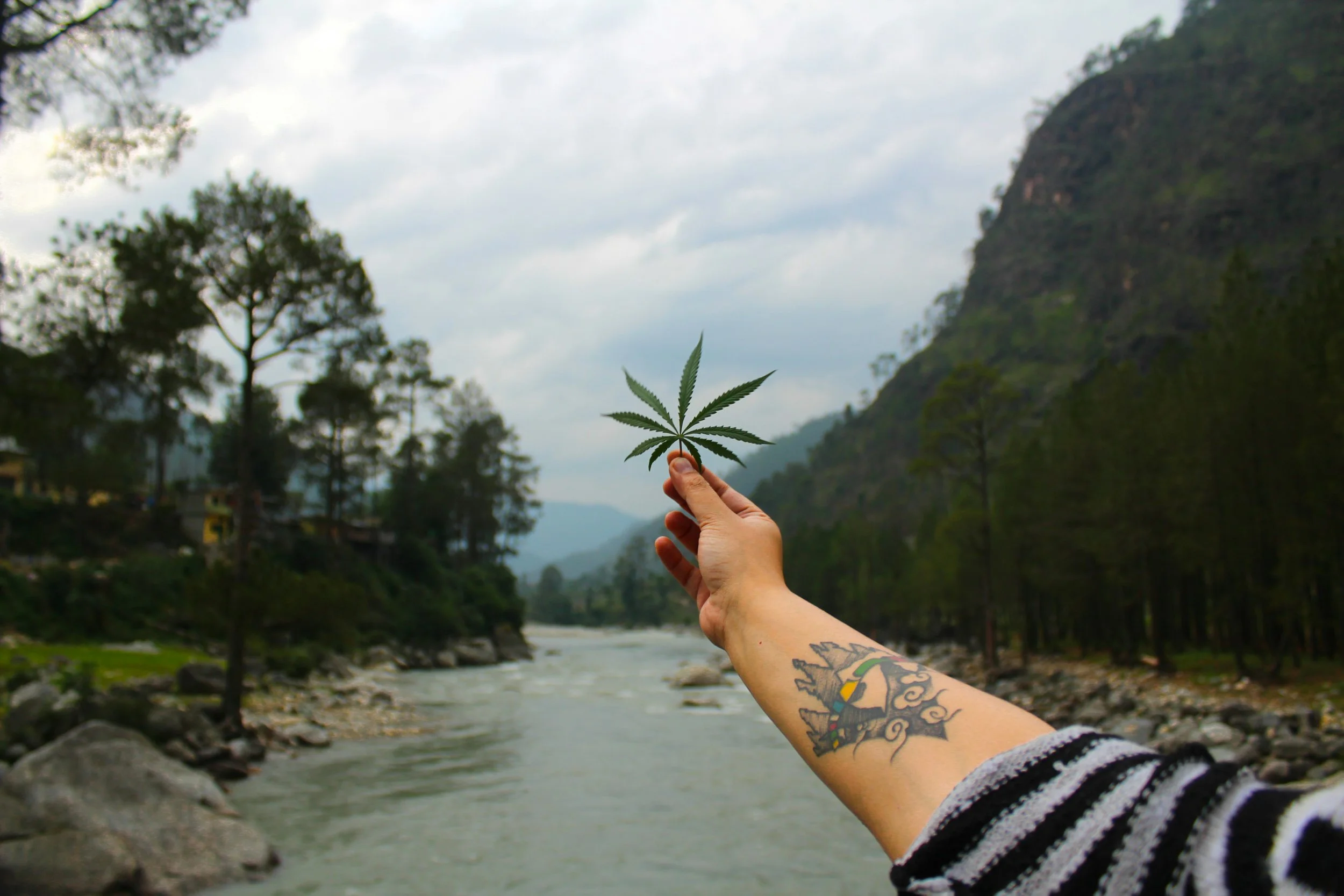 Cannabis auf Reisen im Schengen-Raum: so funktioniert es wirklich