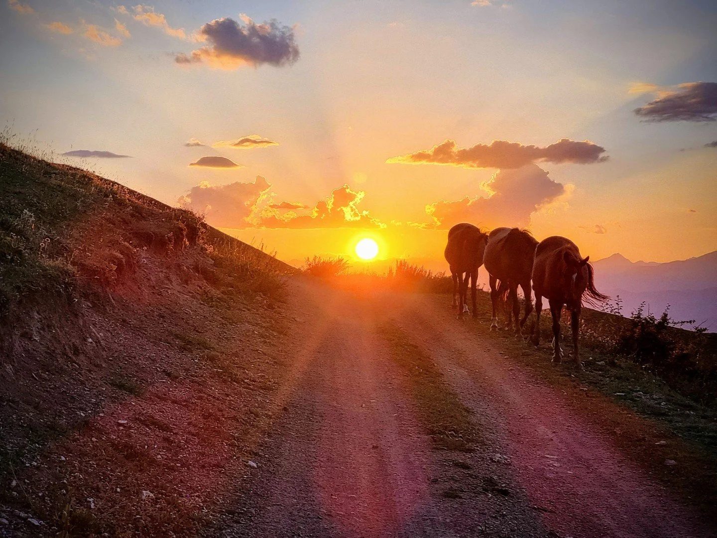 Three horses in Kyrgyzstan walking on a dirt trail during a colorful sunset with clouds in the sky and mountain silhouettes in the distance.  Song Kul Lake.