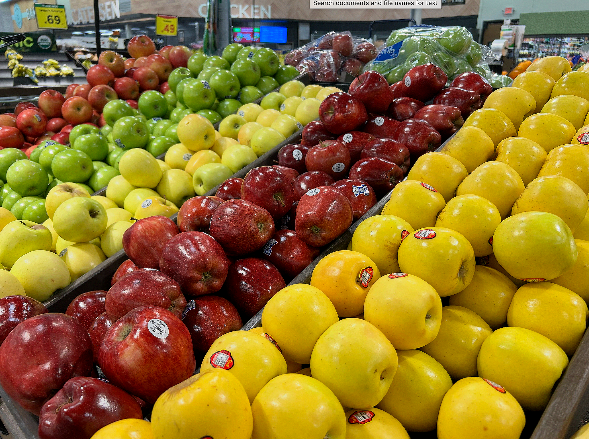 Nutrition Basics Course