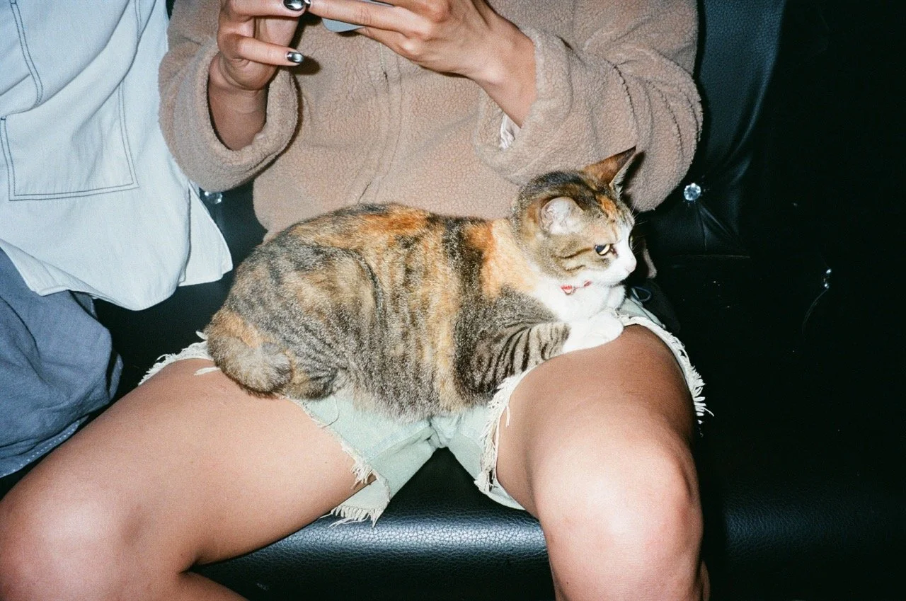 000039720029 Large.jpeg