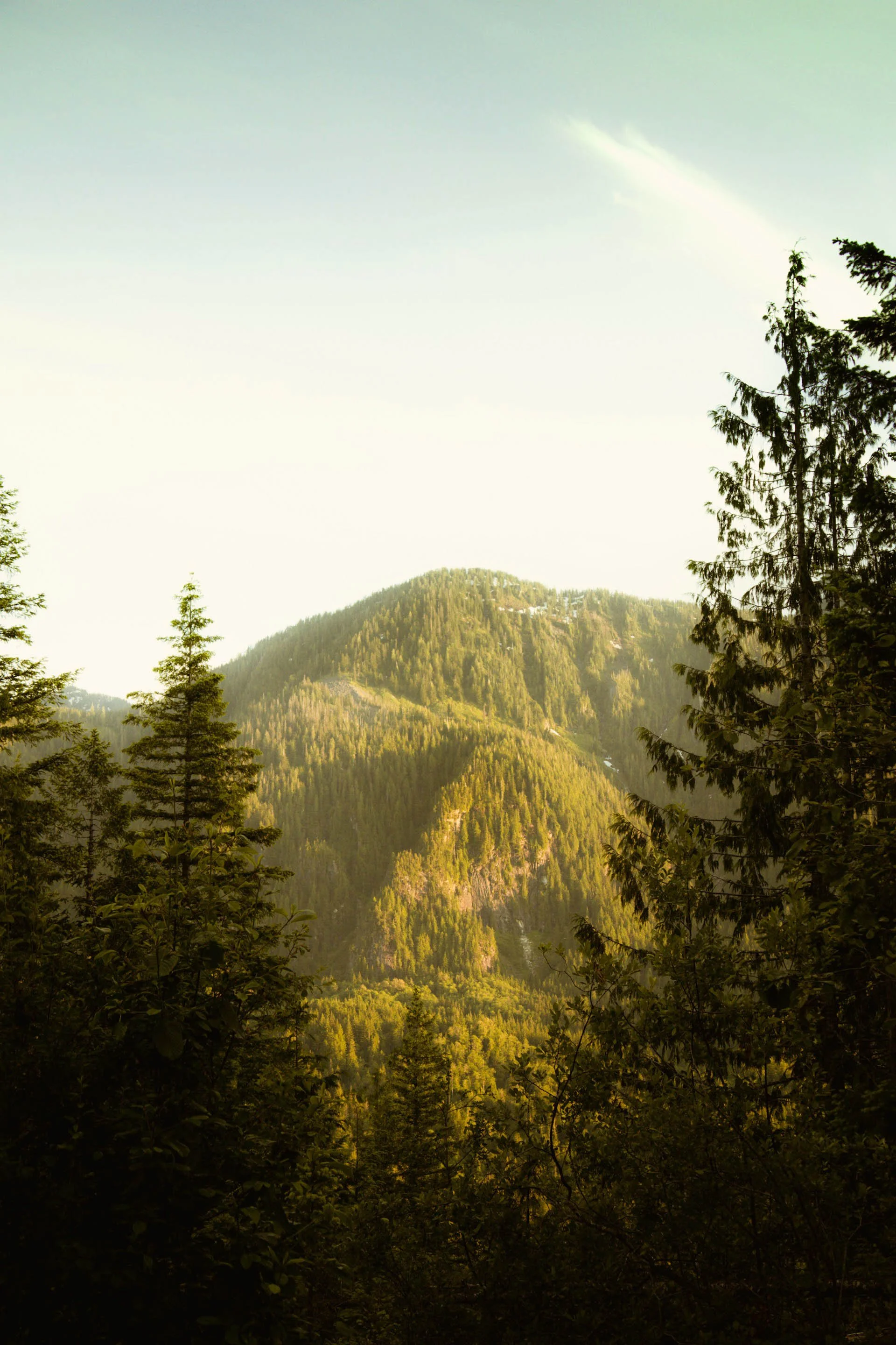 Mountains covered with dense green trees and forest under a blue sky with some clouds.