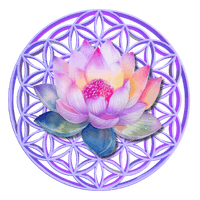 Spiritual Awakening Guide | Life Purpose Coaching