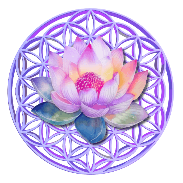 Spiritual Awakening Guide | Life Purpose Coaching