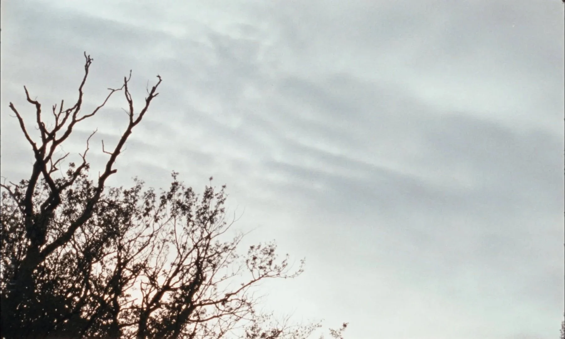 Grading_01_18_09_03.jpg