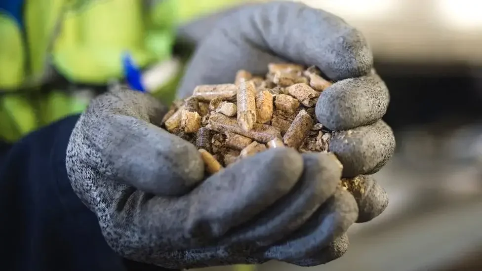 Person's hand wearing a work glove holding wood pellets.