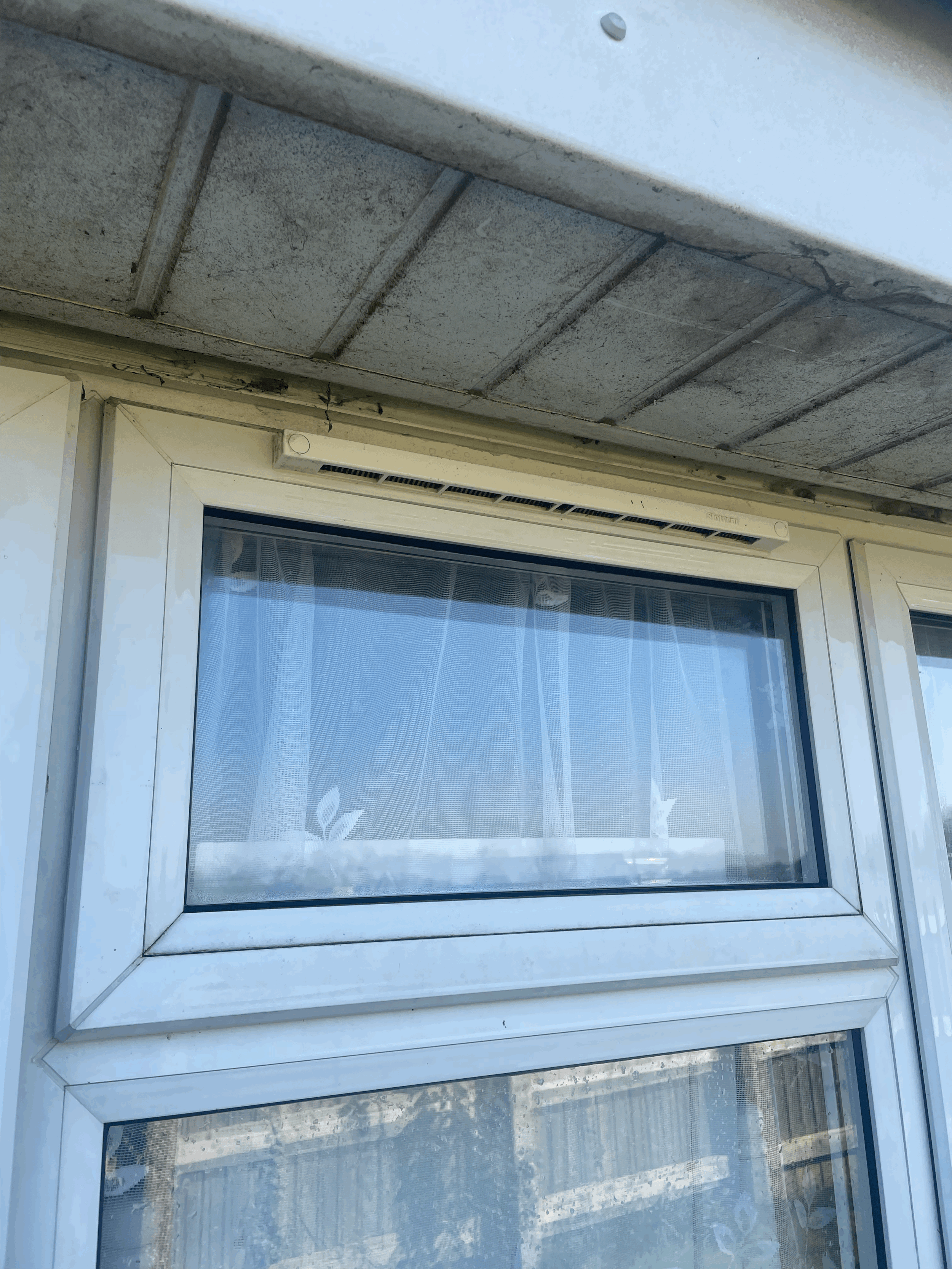 tempImageM22K1z.gif