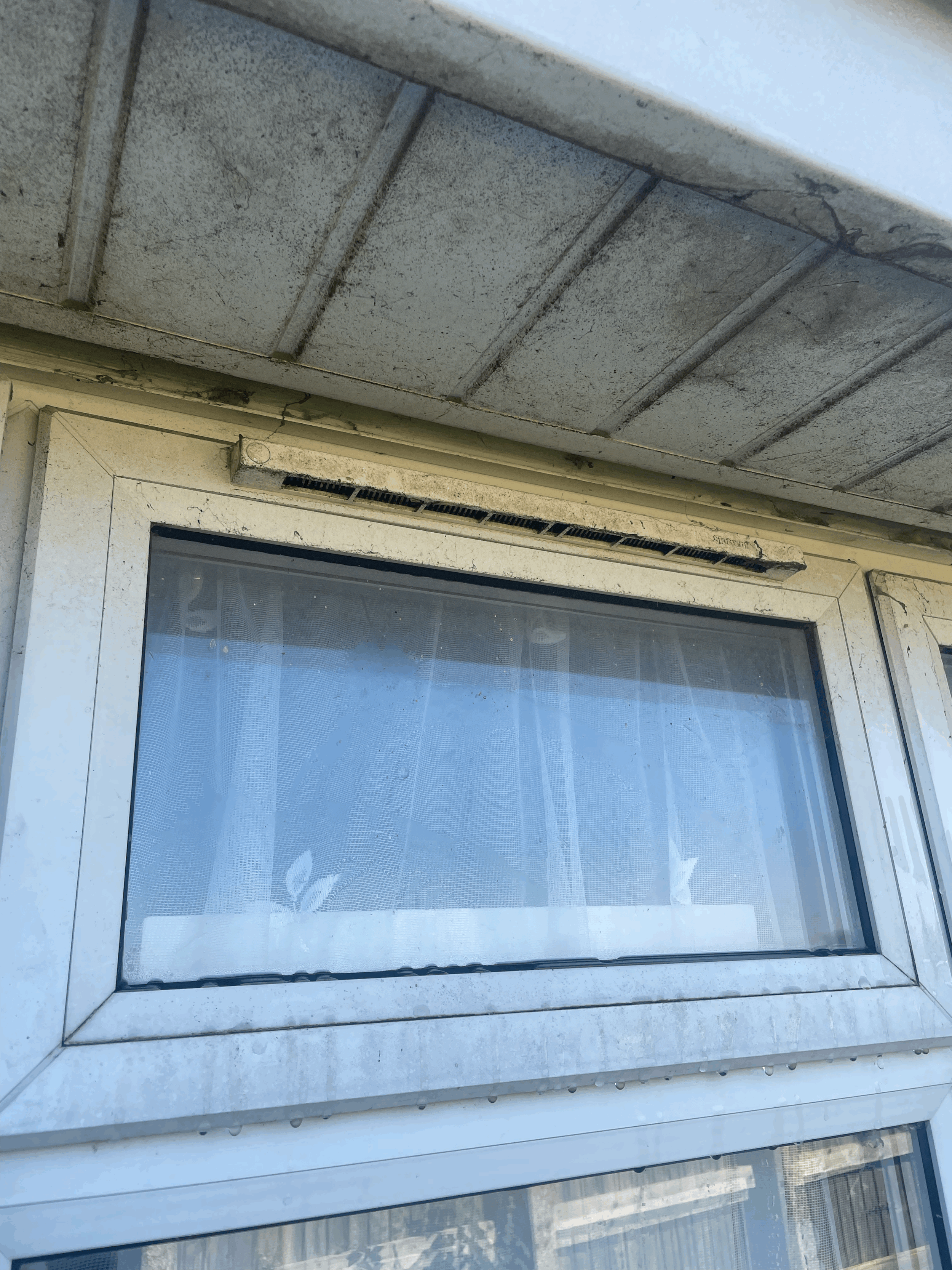 Window Cleaning