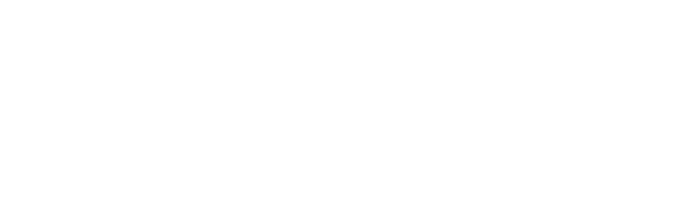 BFF Blended Family Financial Logo white horizontal