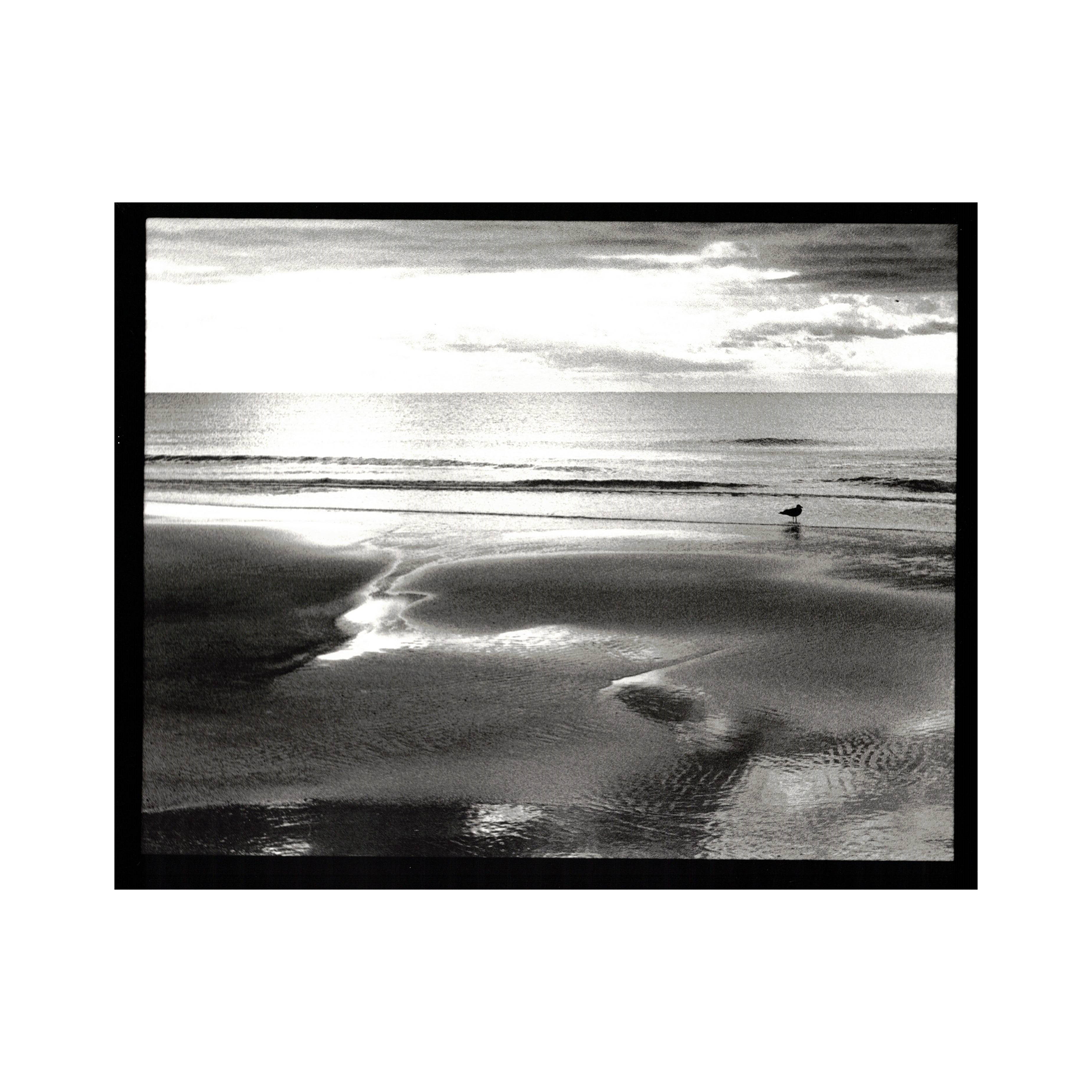 Black and white photo of a calm beach with gentle waves, a seagull standing near the water, and cloudy sky.