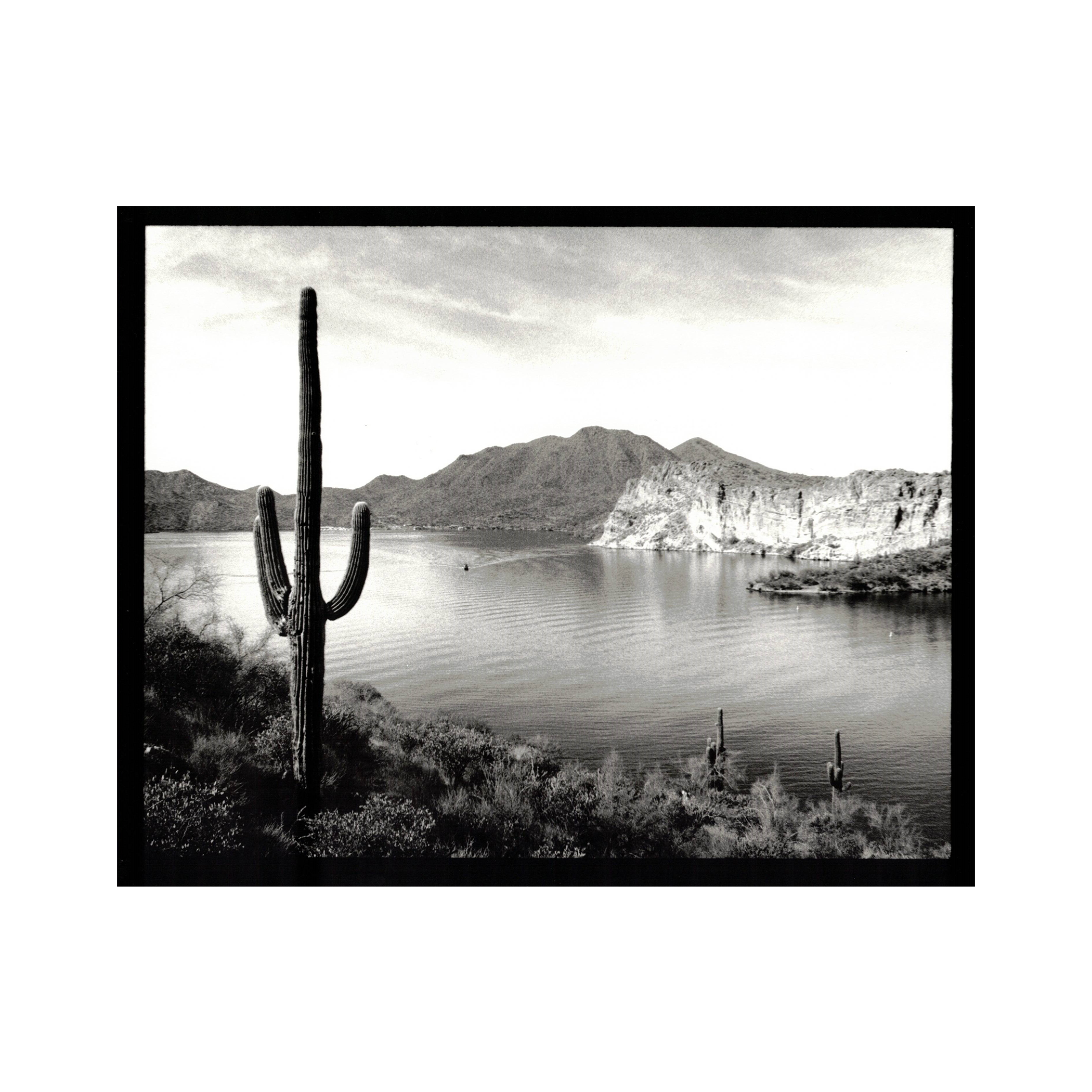 Black and white photograph of a desert landscape featuring a large saguaro cactus in the foreground, a lake with gentle ripples, mountains in the background, and a clear sky.