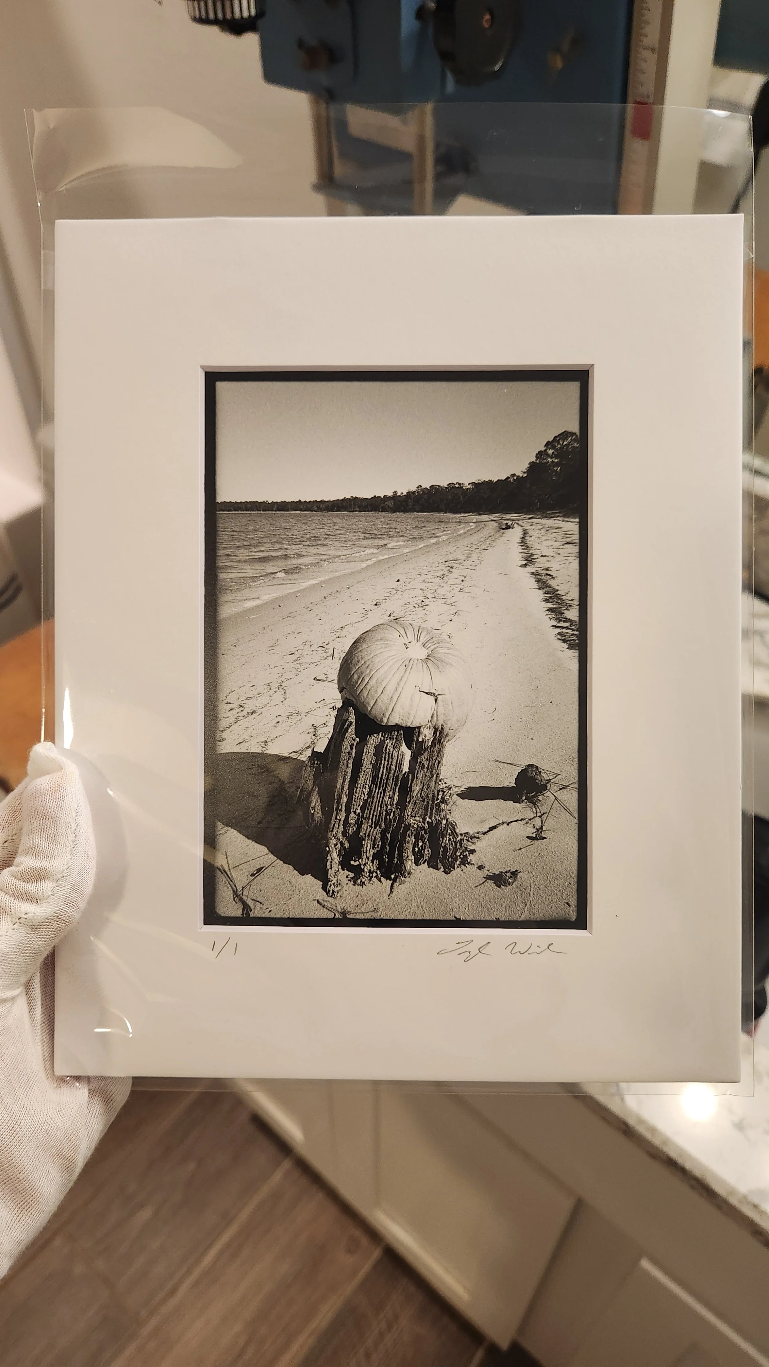 "Pumpkin on a Stump" | 1 of 1 Darkroom Print