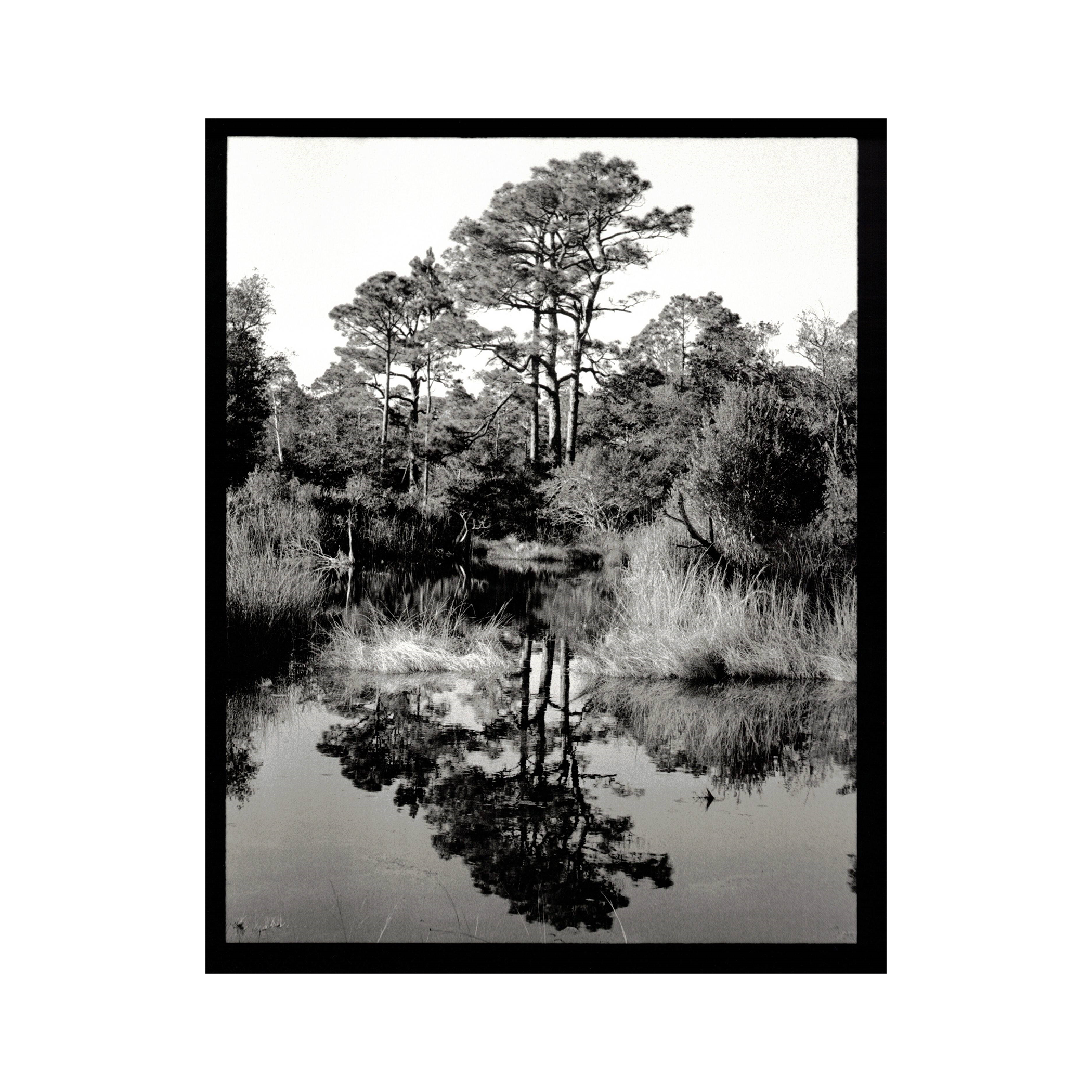 Black and white photograph of tall trees reflected in a calm body of water surrounded by grass and shrubs.