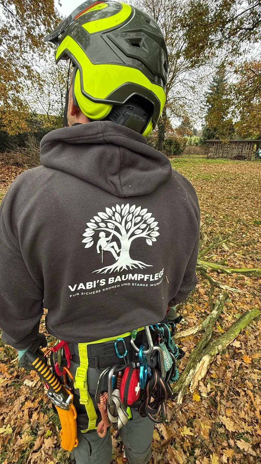 Mann in Sicherheitsausrüstung mit Klettergurt, Helm und Werkzeug in einem herbstlichen Waldumfeld.