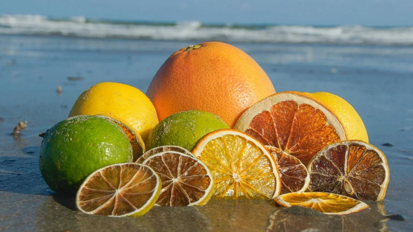 Verschillende citrusvruchten zoals sinaasappels, citroenen, limoenen en een grapefruit liggen op het zand bij de zee, met gelijkaardige ongesneden en gesneden exemplaren.