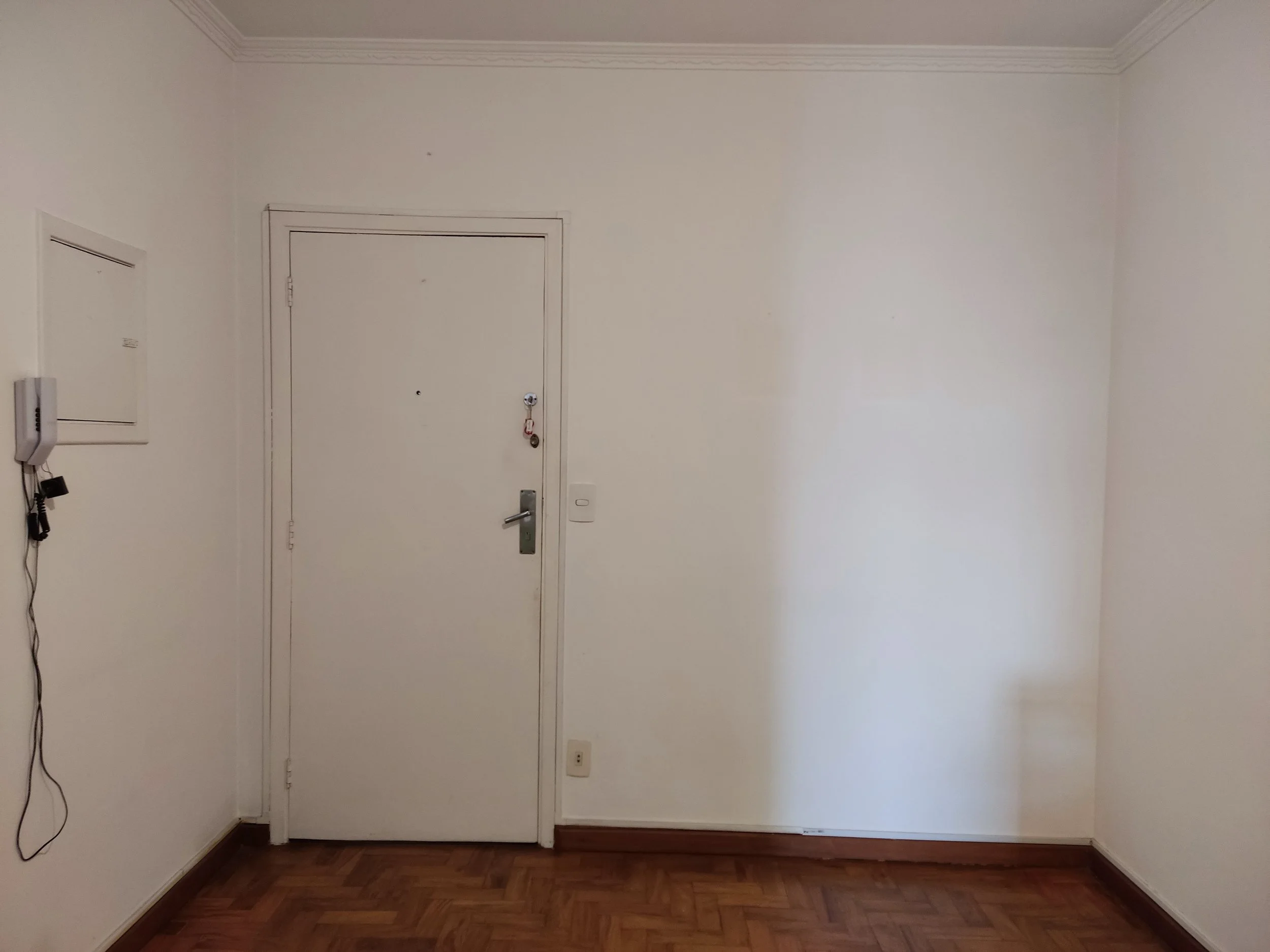 Parede branca com porta de entrada, interfone na parede esquerda, painel elétrico na parede esquerda, piso de madeira, iluminação natural, canto da parede vazio.