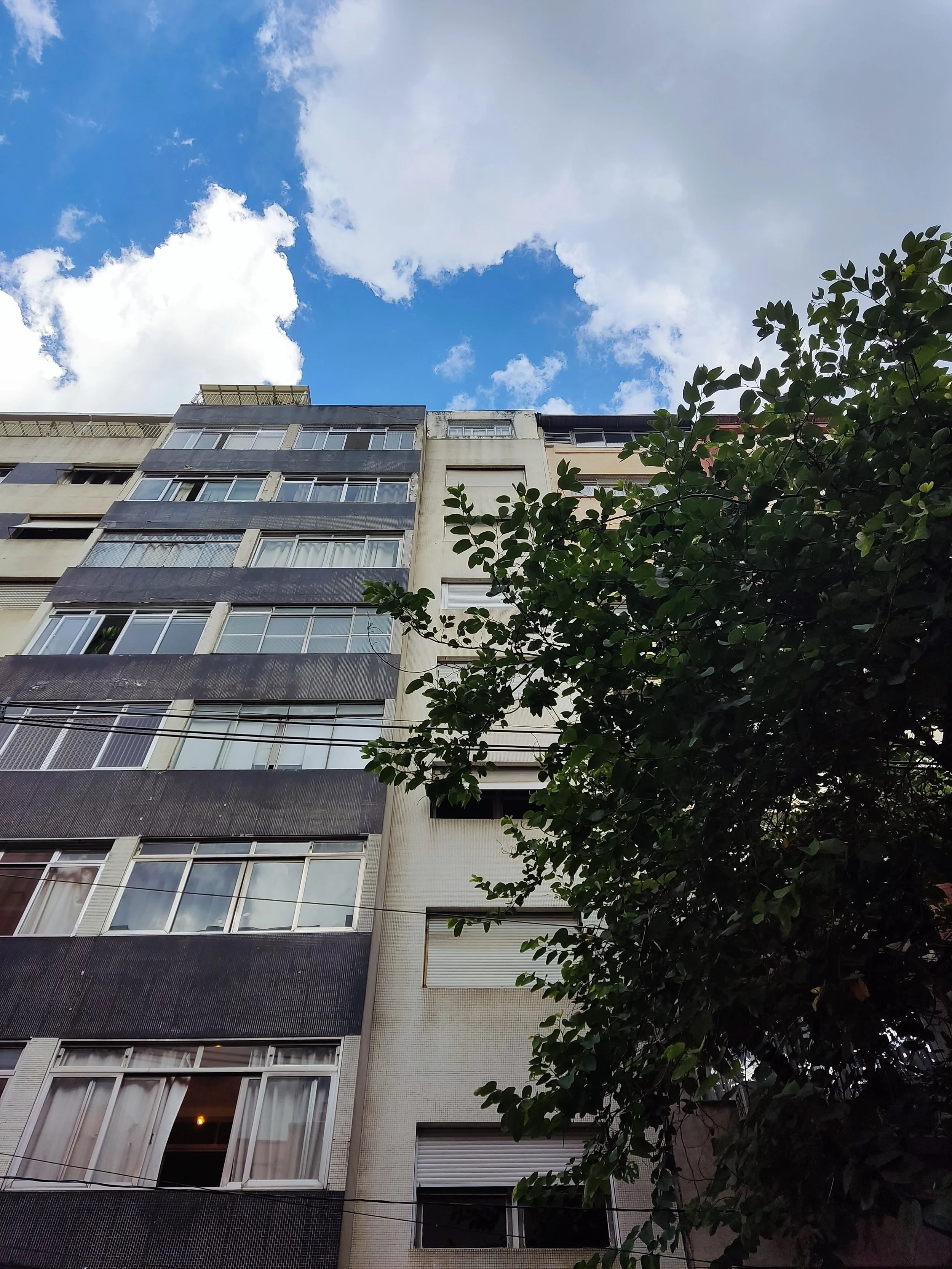 Foto de um prédio de vários andares com janelas, parcialmente coberto por uma árvore com muitas folhas verdes e um céu azul com nuvens brancas ao fundo.