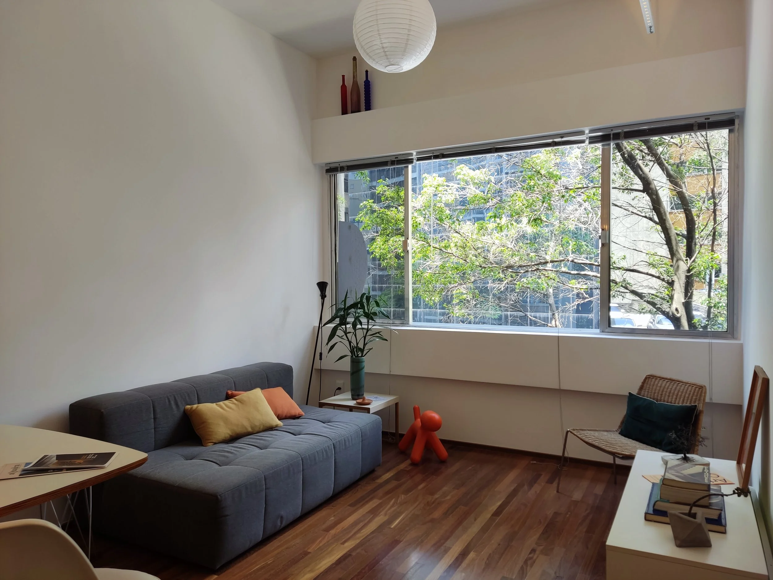 Sala de estar com sofá cinza, travesseiros coloridos, planta na mesinha de canto, cadeira de vime, janela grande com vista para árvores.